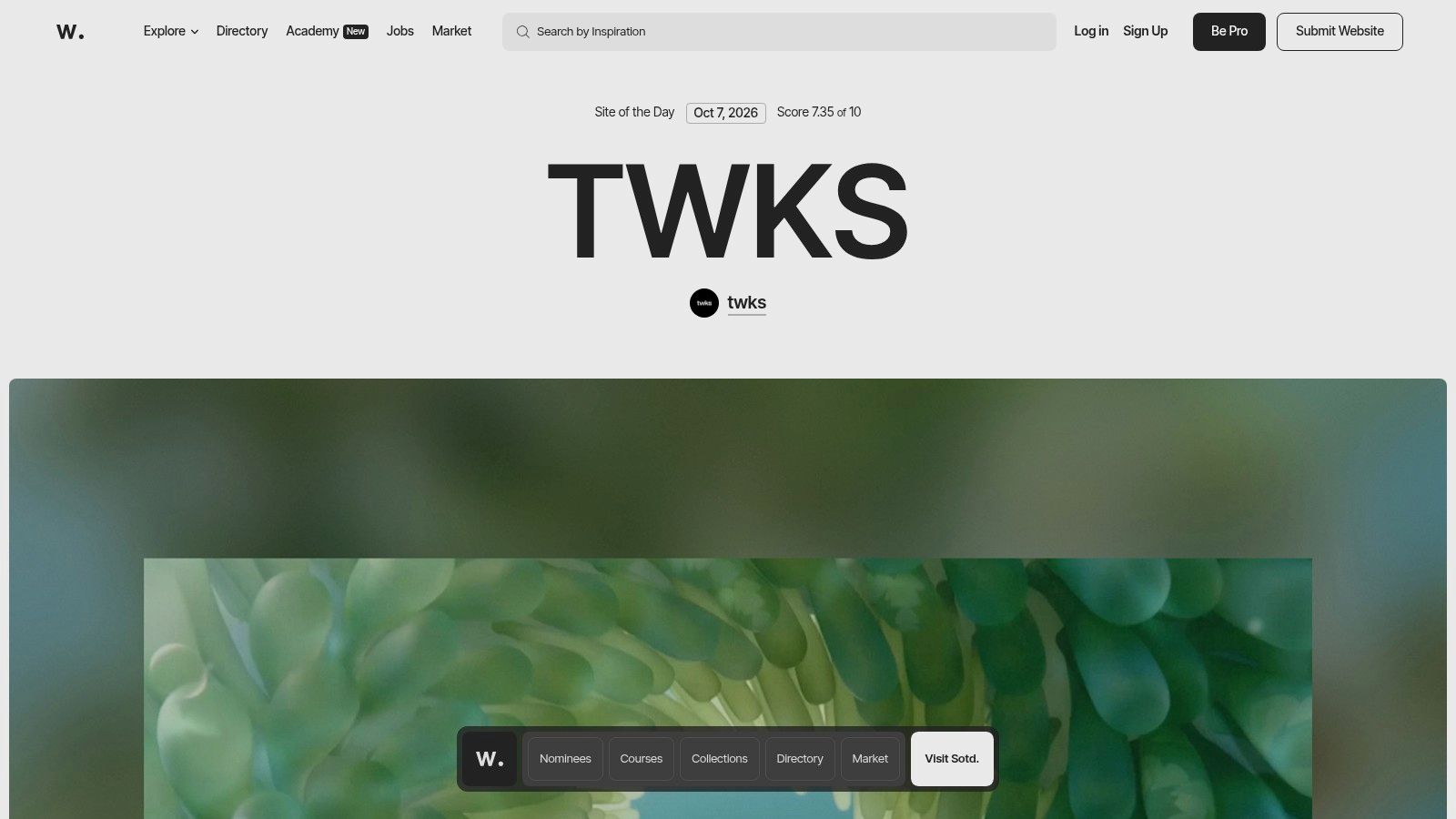 Awwwards (Case Studies)