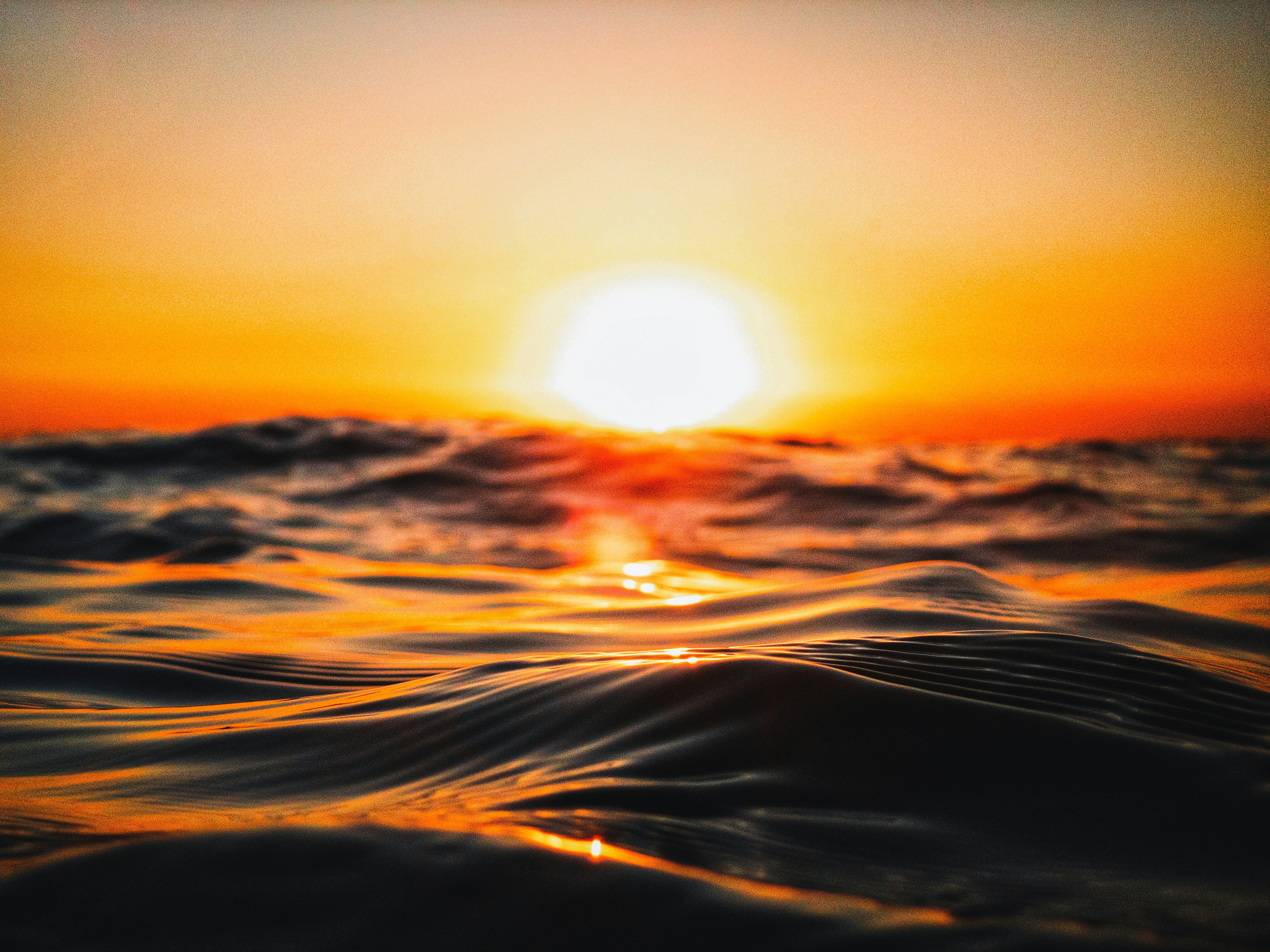Sunset on the Ocean