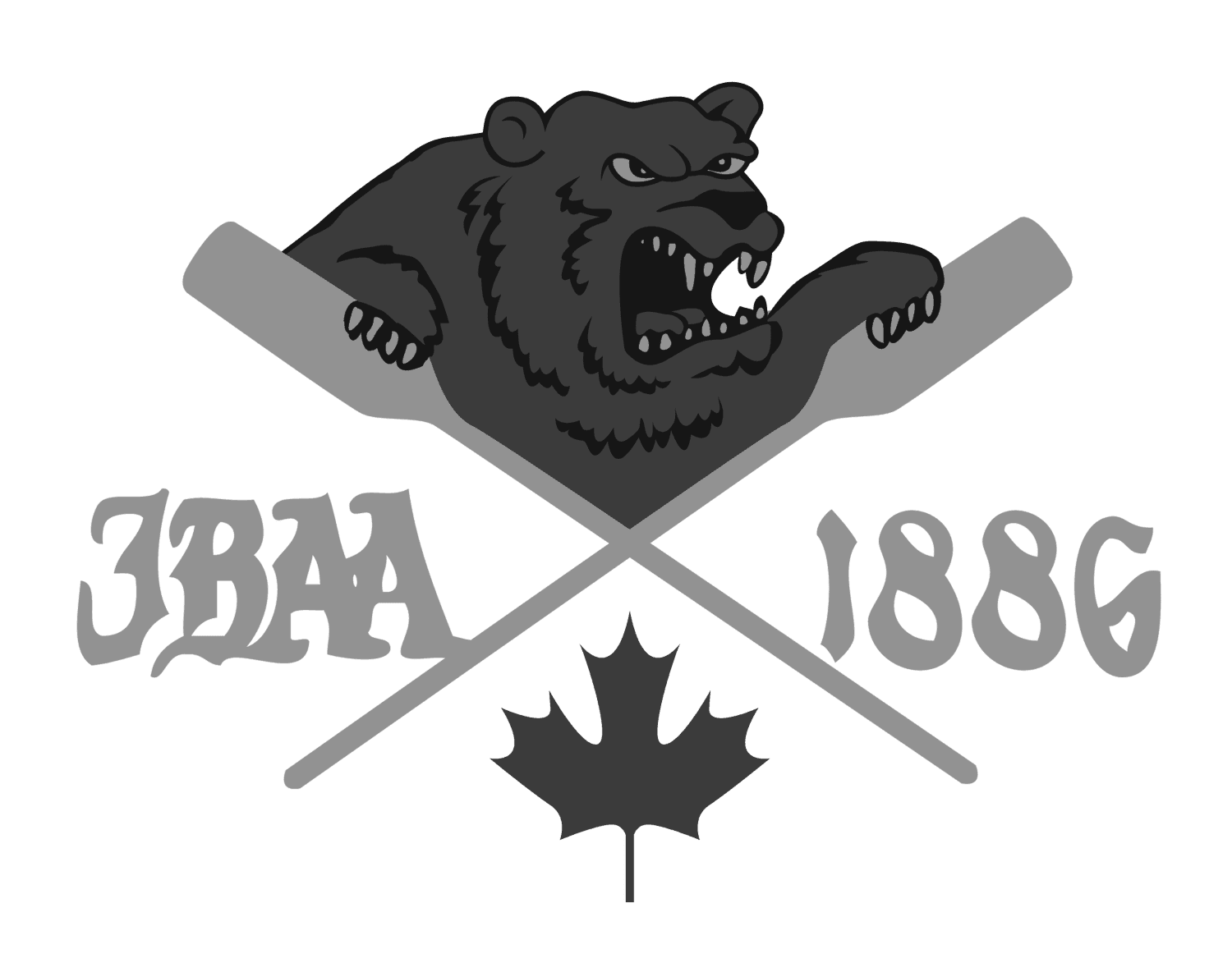A TeamLinkt Sports League Partner Logo