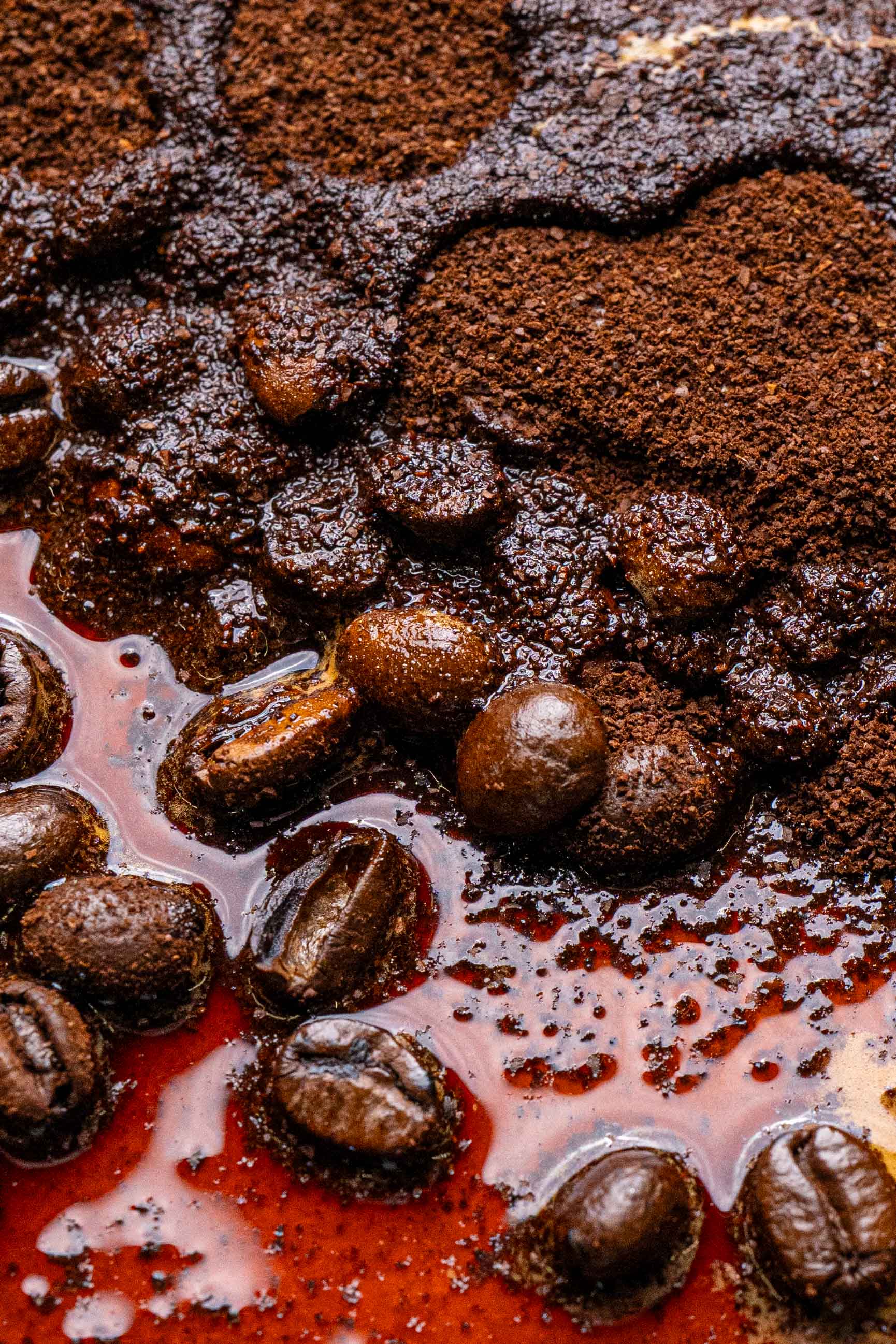 sun is shining on the backseats of the car