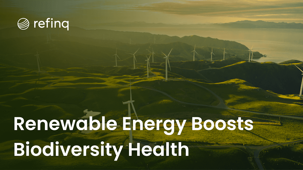 Renewable Energy