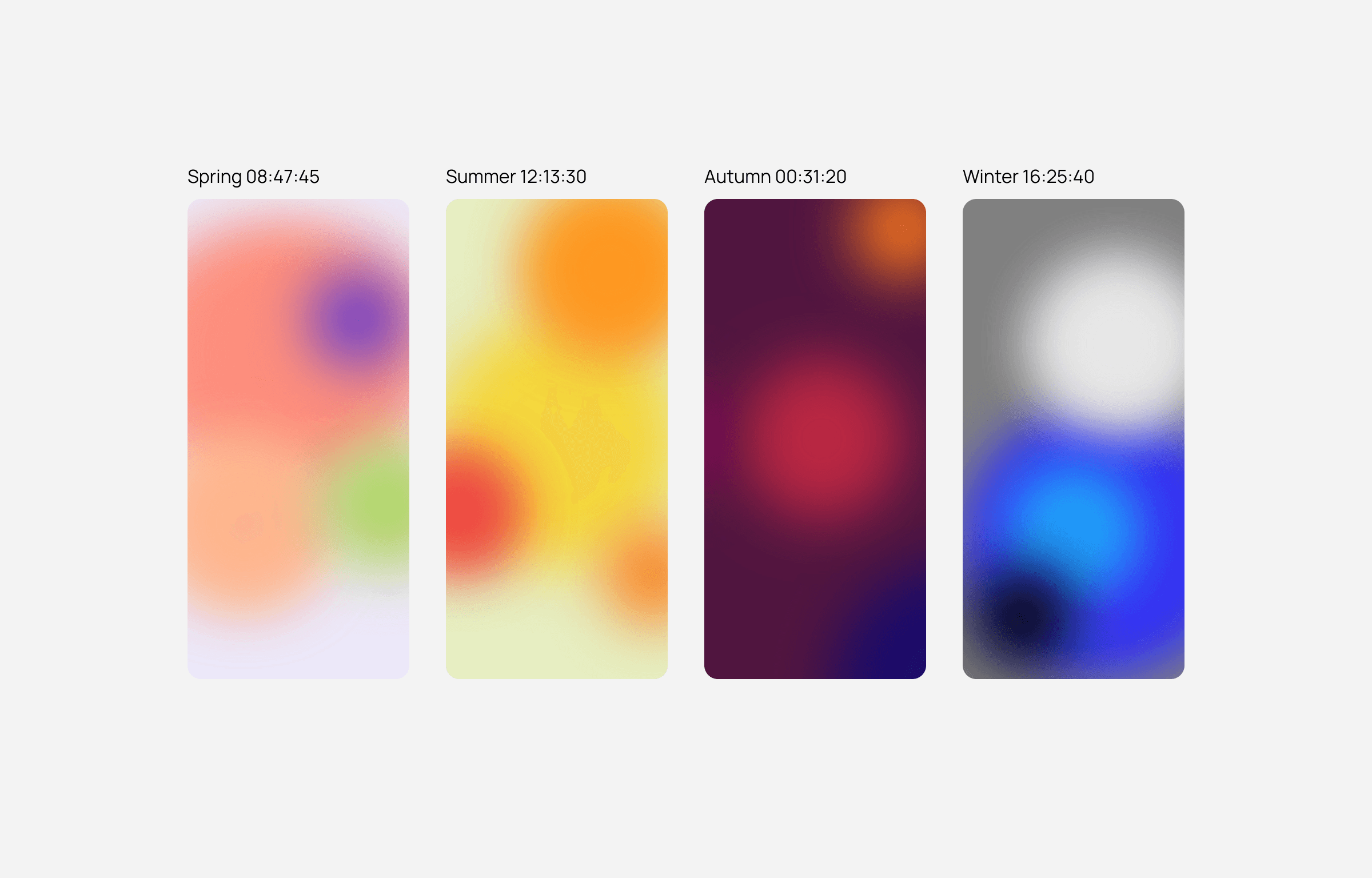 Large Project Gallery Image #1