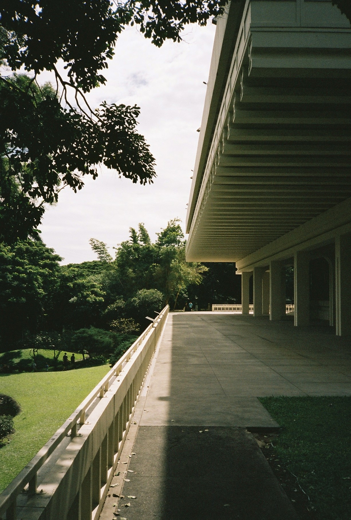 Buildings make up >70% of my camera roll