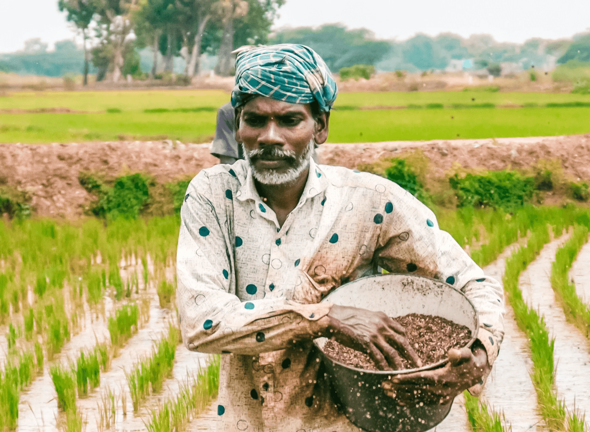 a man walking through a rice field carrying a basket