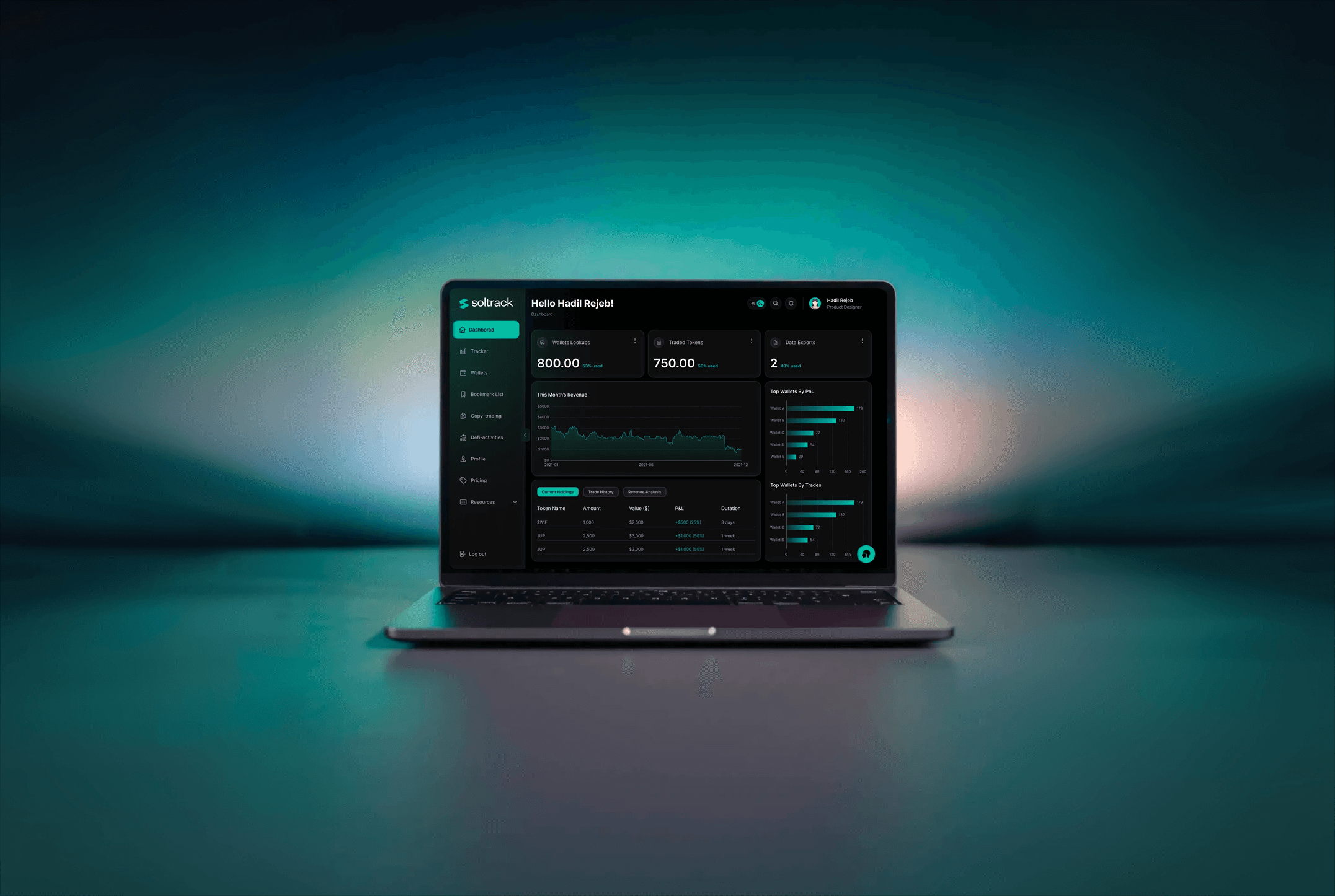 Soltrack | Token-Level Wallet Analysis