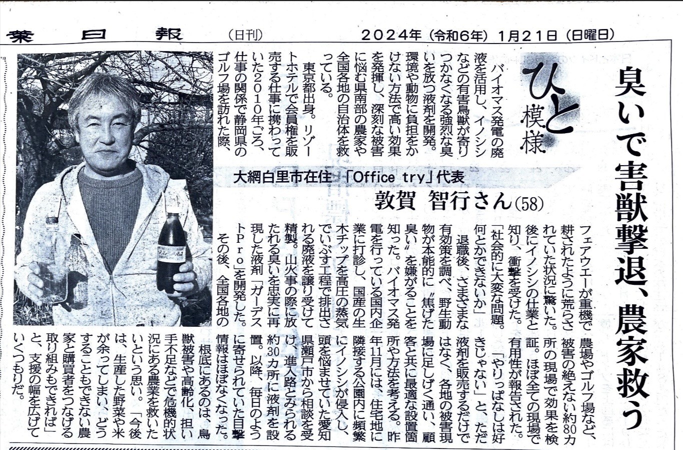 自治体広報の掲載紙面（ダミー画像）