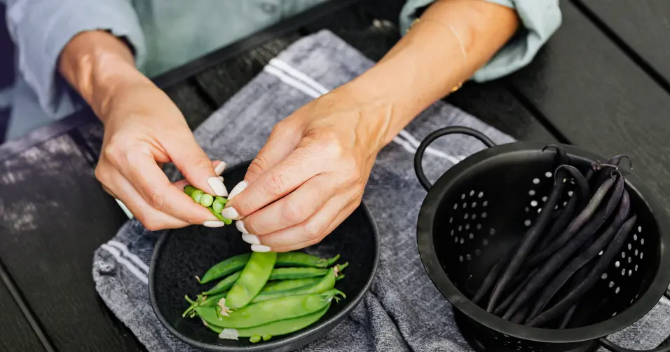 Pea protein is a plant-based protein source rich in amino acids and easy to digest.