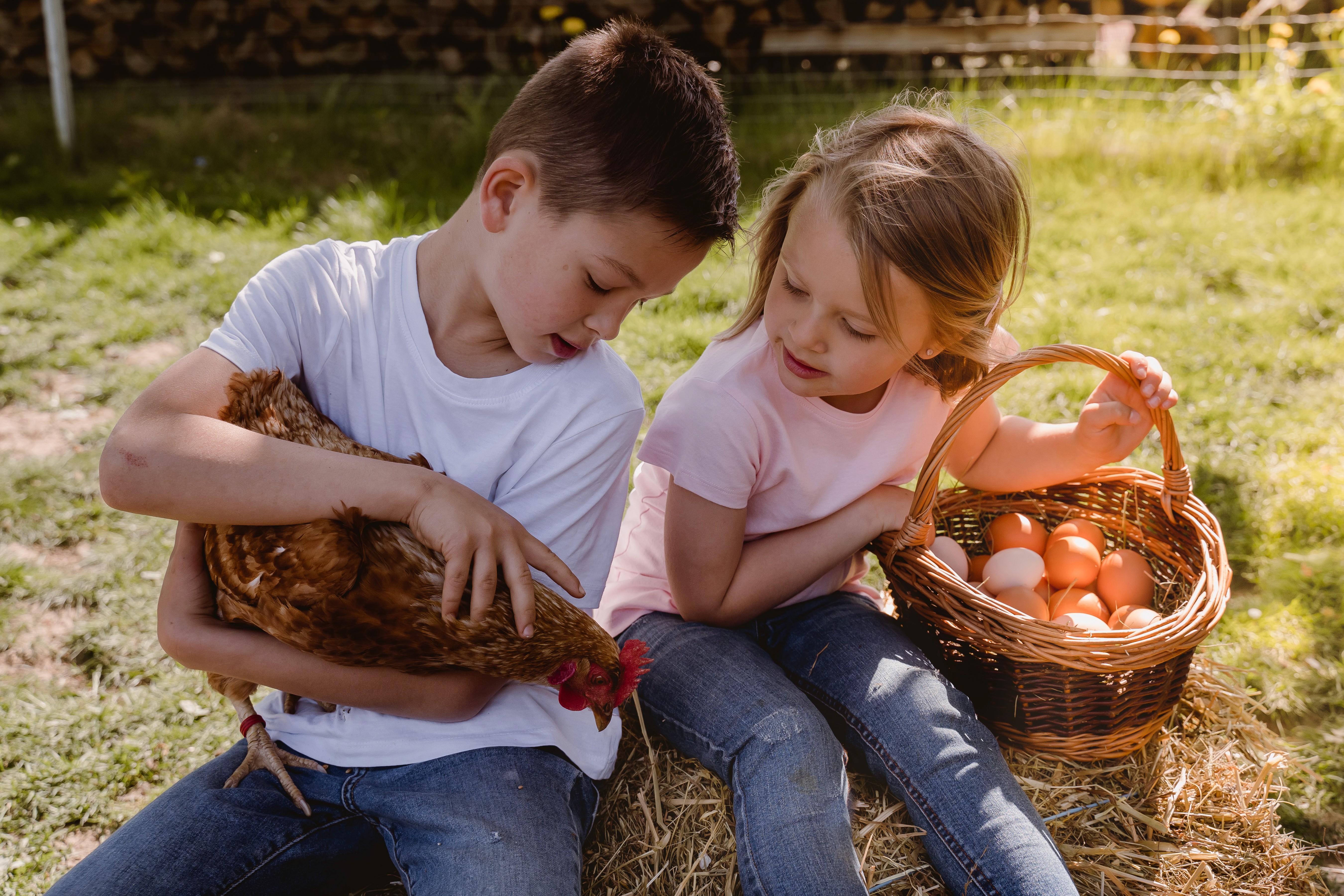 Indoor potted plant with variegated leaves from Florent Garden plant shop