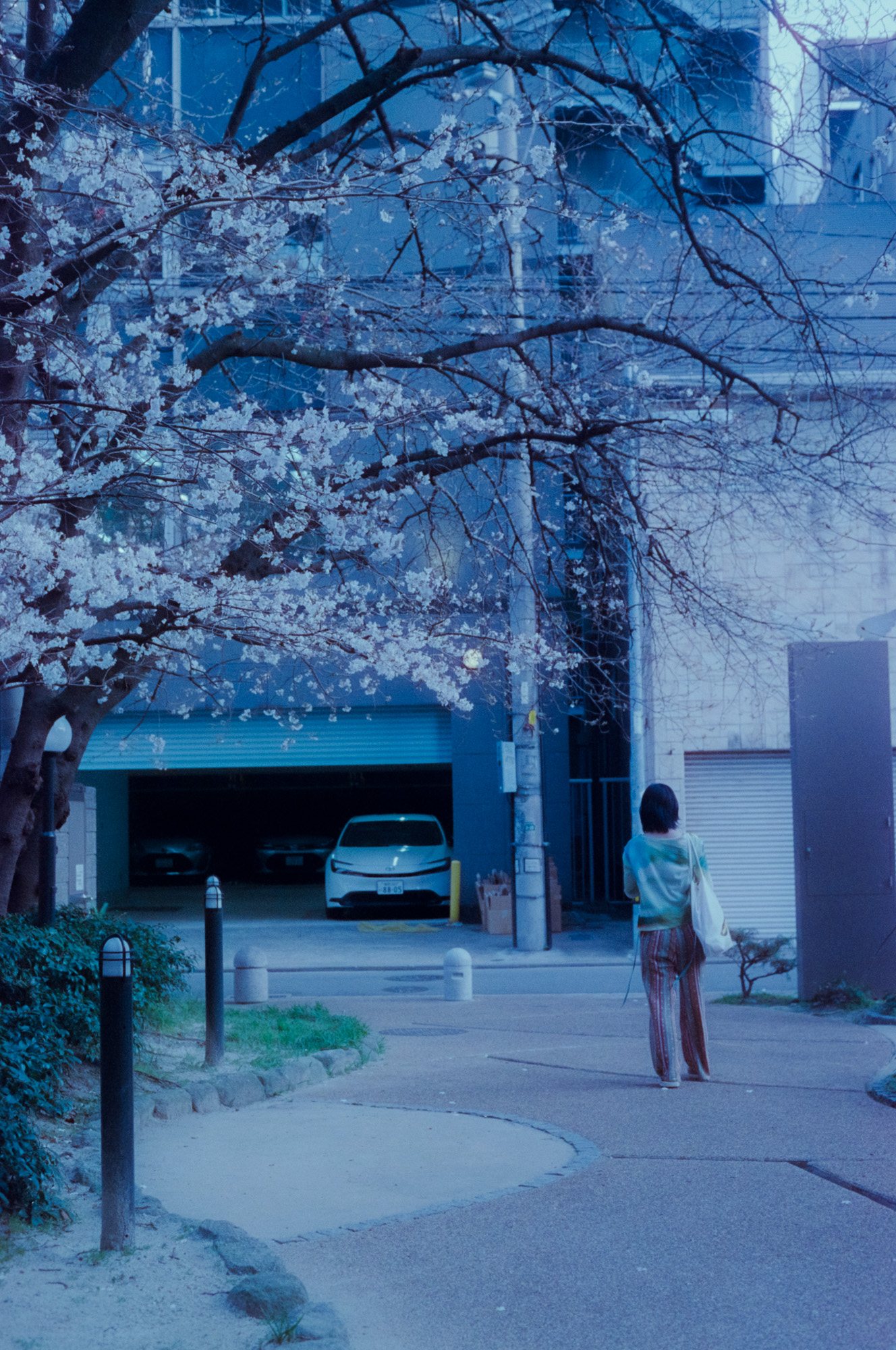 Taisei Matsumoto, 2025 exhibition view 24