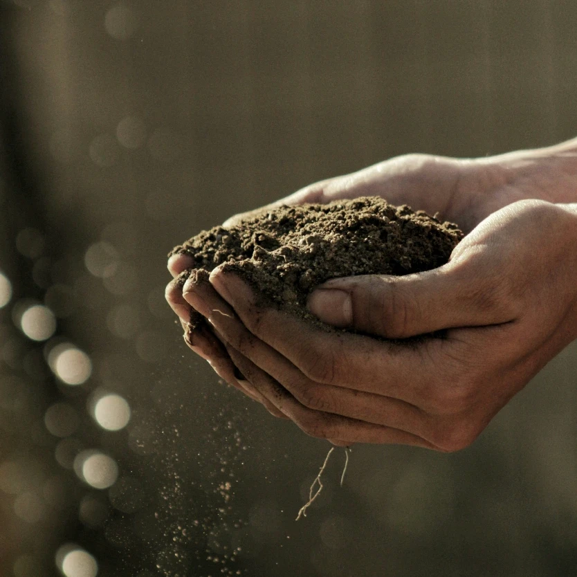 Third Street Promenade