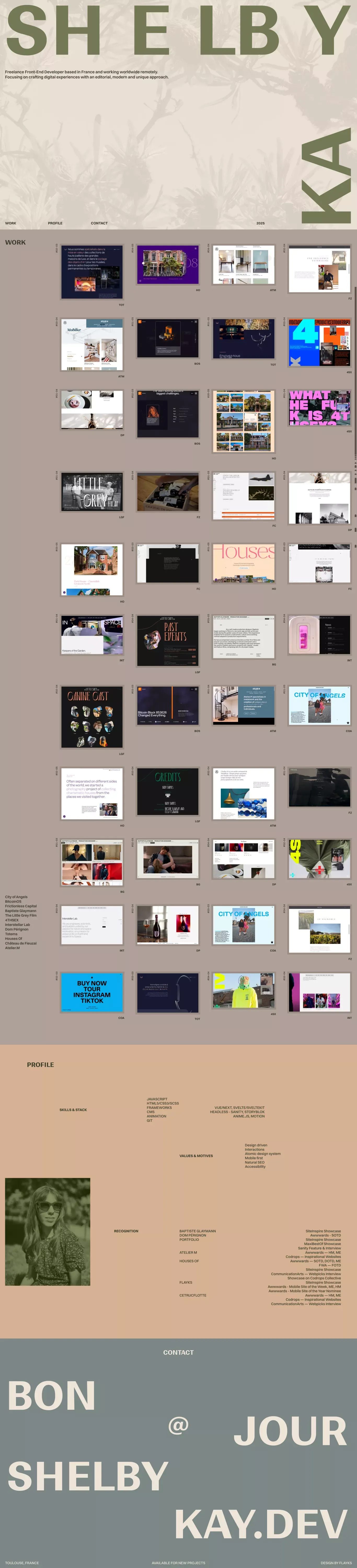 Shelby Kay landing page screenshot showcasing Tech design