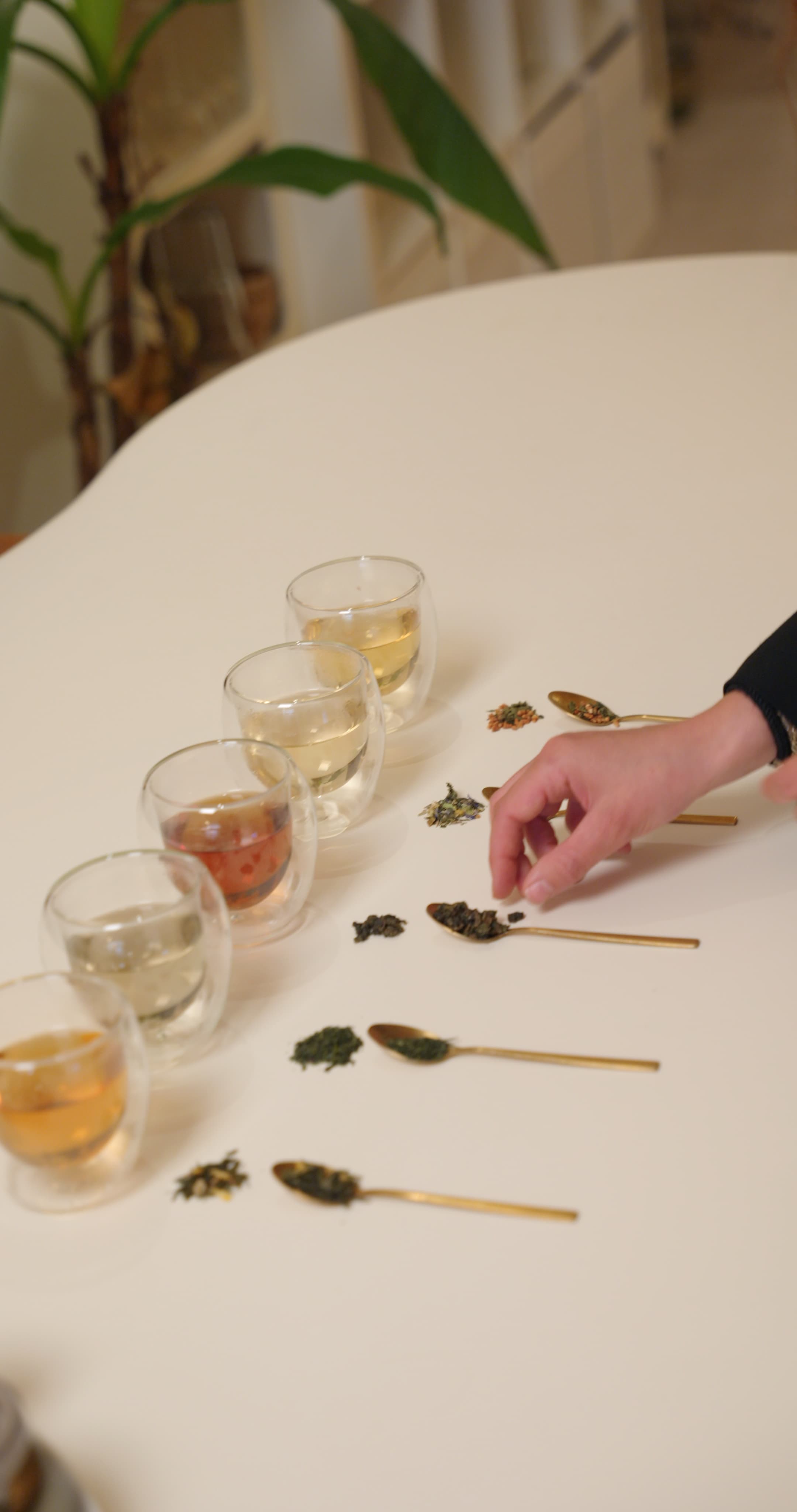 A black female model