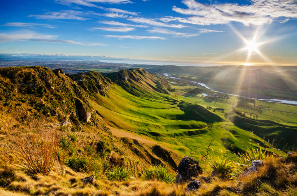 Rolling green hills of Te Mata Peak in Hawke's Bay at sunrise, with tuki tuki river winding through the valley below