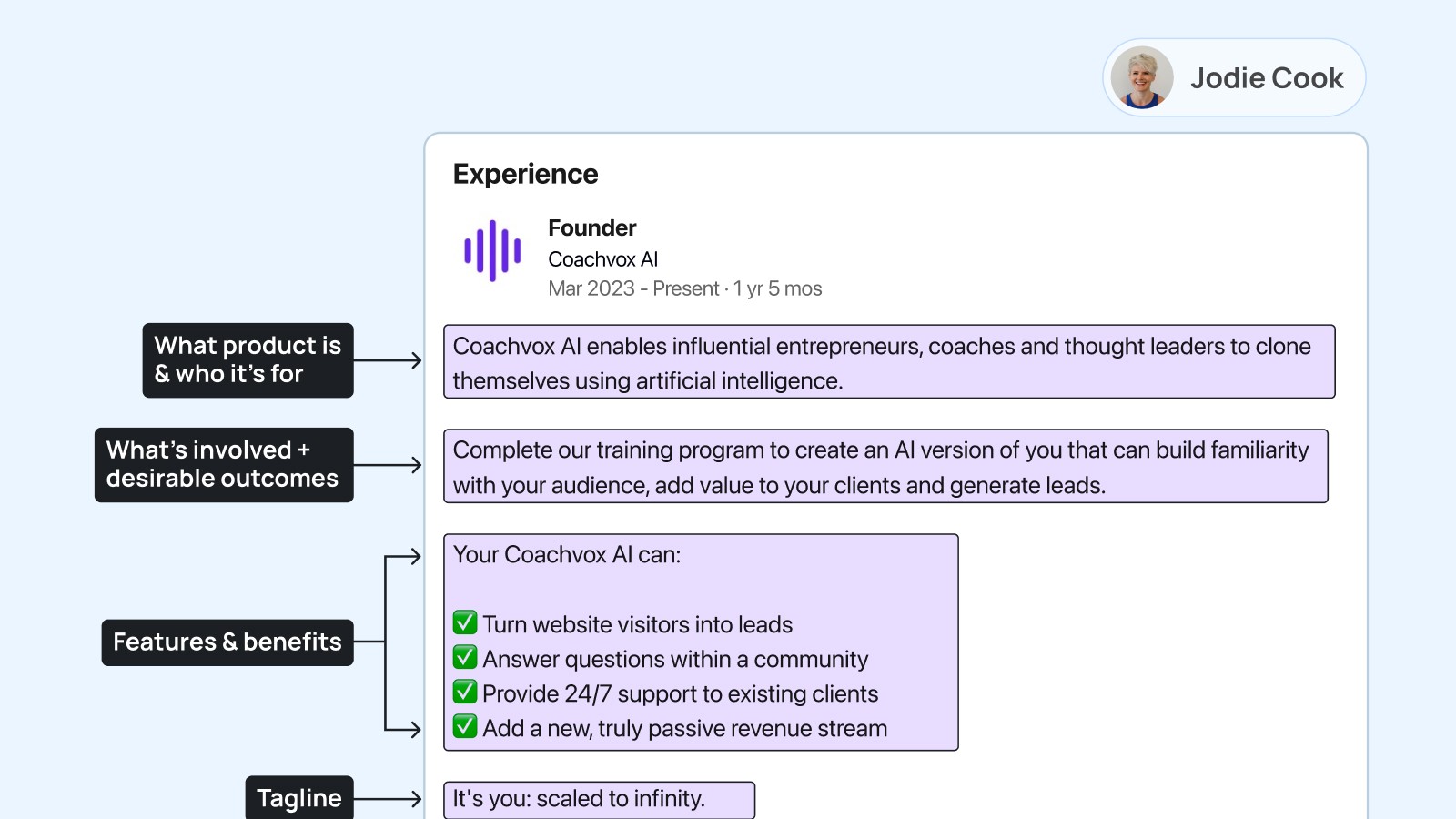 LinkedIn Experience Section Example