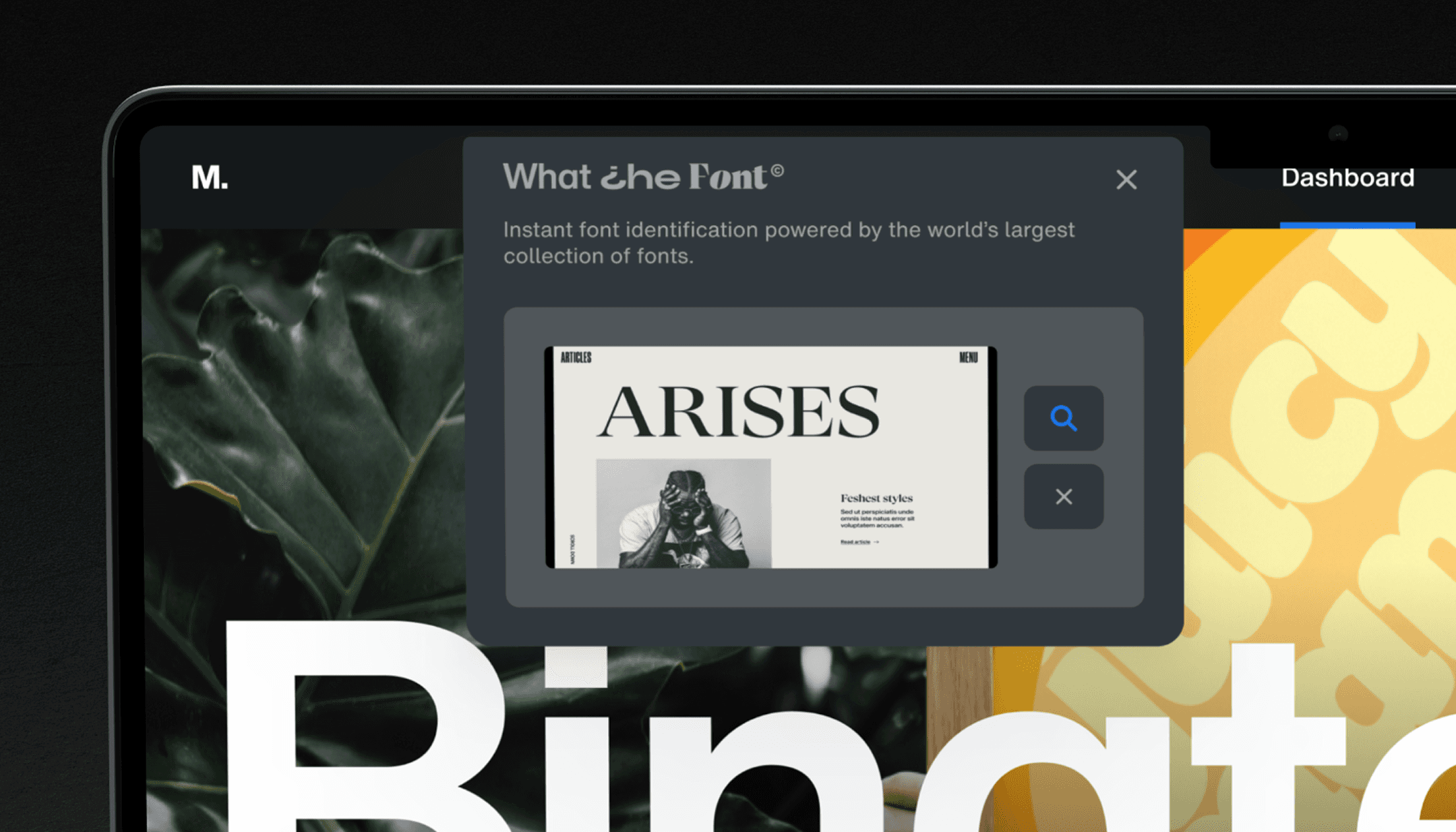 WhatTheFont capability embedded in Monotype Fonts