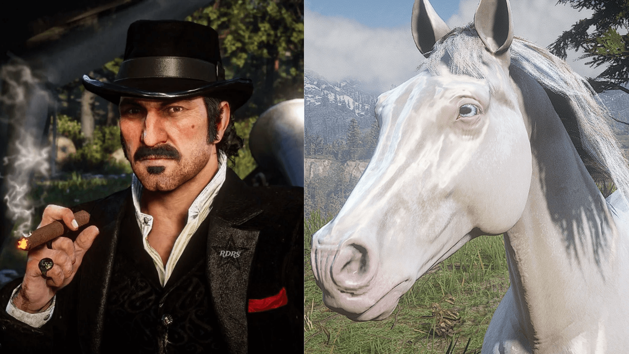 Van der Linde gang horses, best RDR2 horses, RDR2 horse guide, RDR2 gang horses, RDR2 Van der Linde horses, best horses in Red Dead Redemption 2, RDR2 best horse comparison, RDR2 Micah horse Baylock, RDR2 Dutch horse The Count, RDR2 Hosea horse Silver Dollar, RDR2 Bill horse Brown Jack, Missouri Fox Trotter RDR2, Arabian horse RDR2, Turkoman horse RDR2, Ardennes horse RDR2, strongest horses in RDR2, fastest horses in RDR2, RDR2 horse breeds explained, RDR2 horse stats, RDR2 best companion horses, RDR2 horse ranking, RDR2 best gang member horse, Red Dead Redemption 2 horse list, RDR2 story horses, RDR2 horse personalities, RDR2 rare horses, RDR2 horse analysis, RDR2 horse performance, RDR2 horse speed comparison, RDR2 war horses, RDR2 elite horses, RDR2 horse lovers guide, who has the best horse in RDR2, Van der Linde gang best horse, RDR2 cinematic horses, RDR2 lore horses, RDR2 horse fan guide, RDR2 top horses, RDR2 horse tier list, RDR2 iconic horses