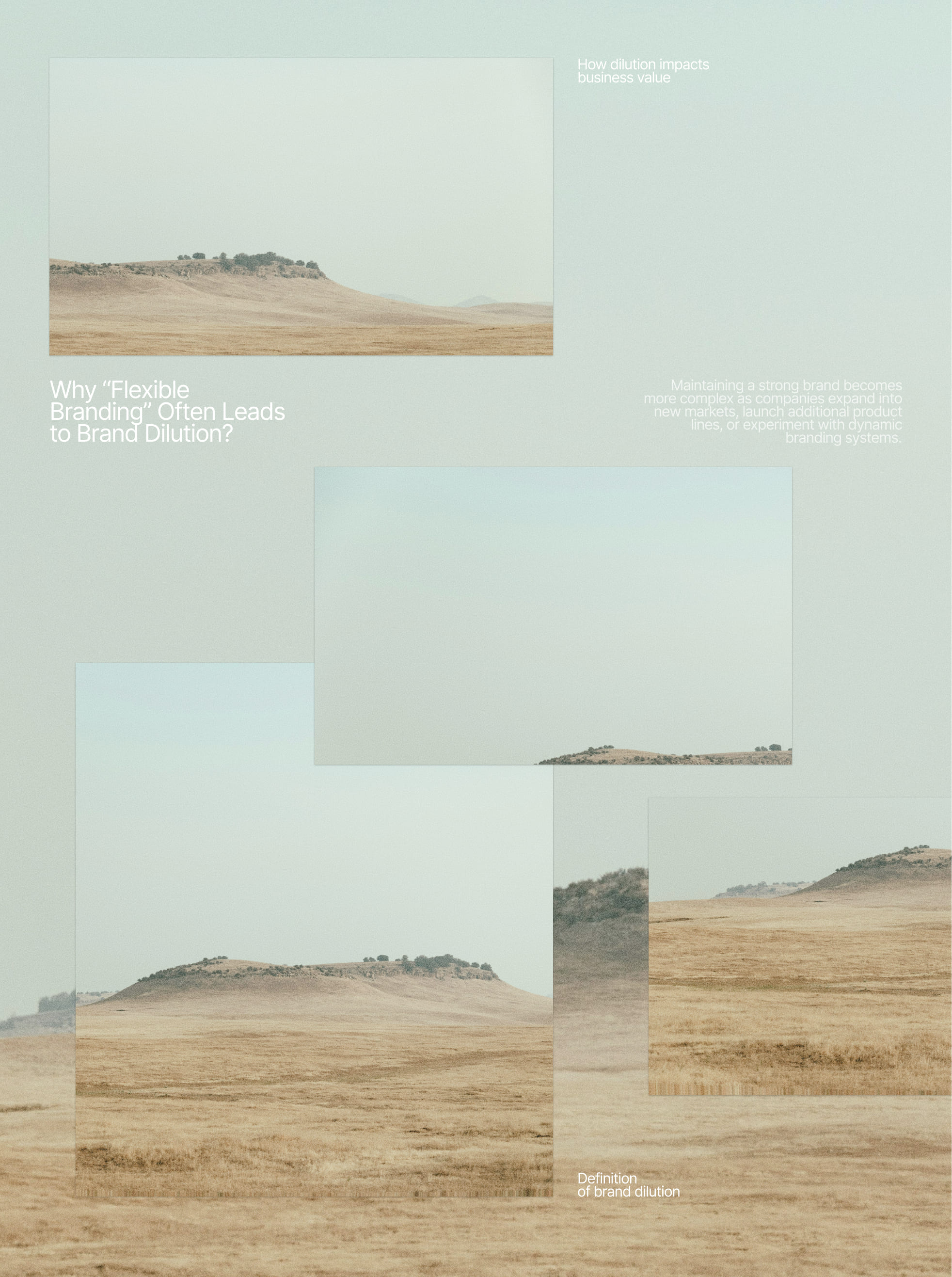 Why “Flexible Branding” Often Leads to Brand Dilution?