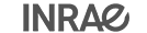 Client Image