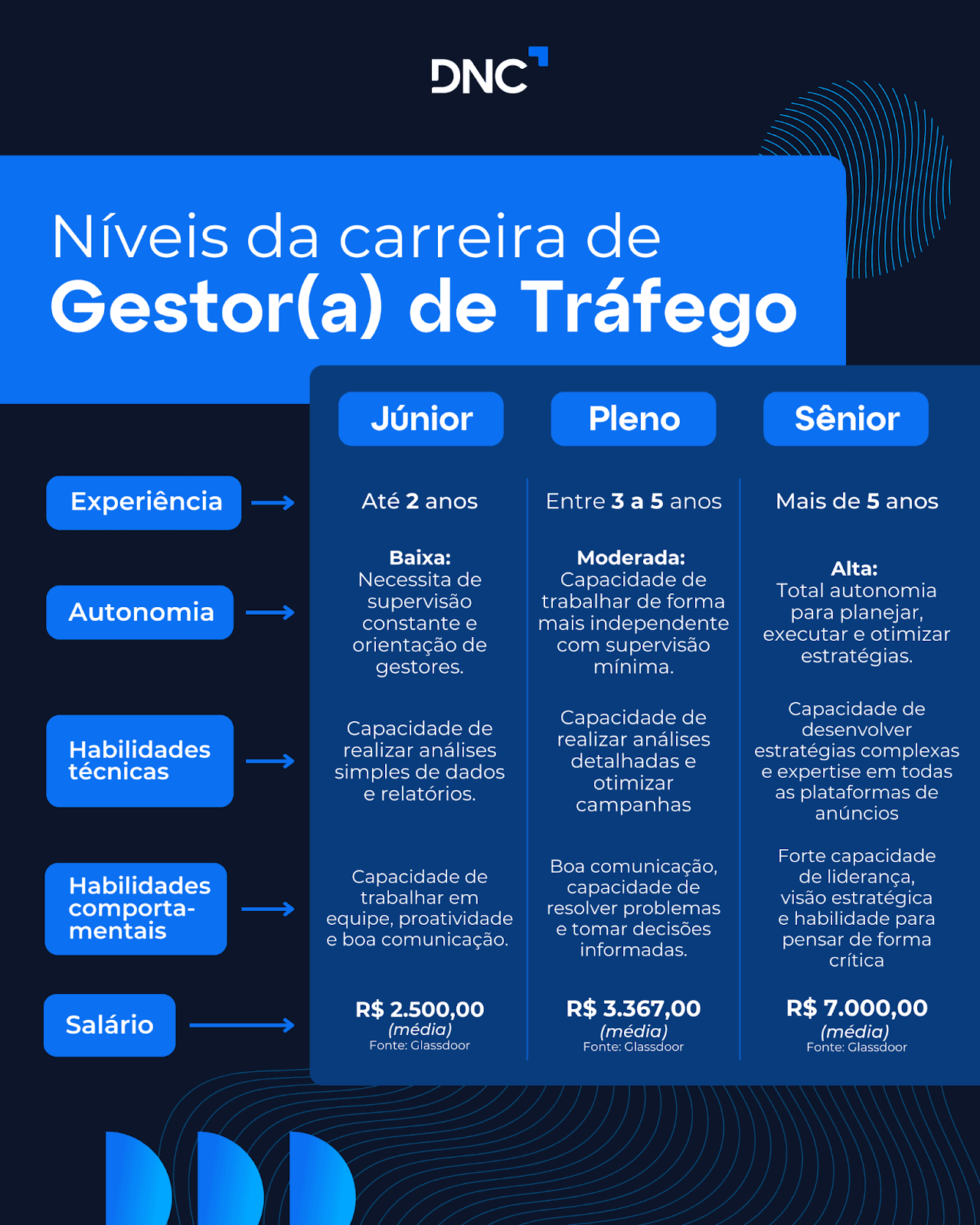 Infográfico detalhando os níveis de carreira de um gestor(a) de tráfego pago. 