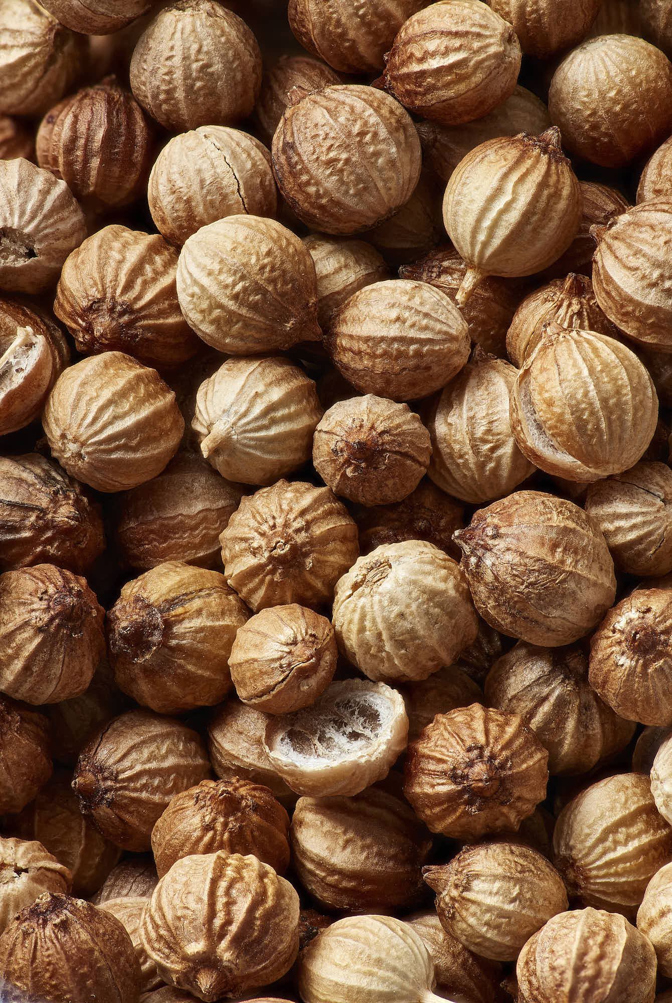 Close-up of dried coriander seeds, showcasing texture and natural brown color.