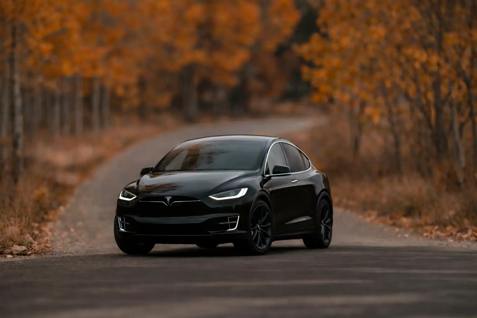 Tesla Model X private chauffeur Provence premium transportation
