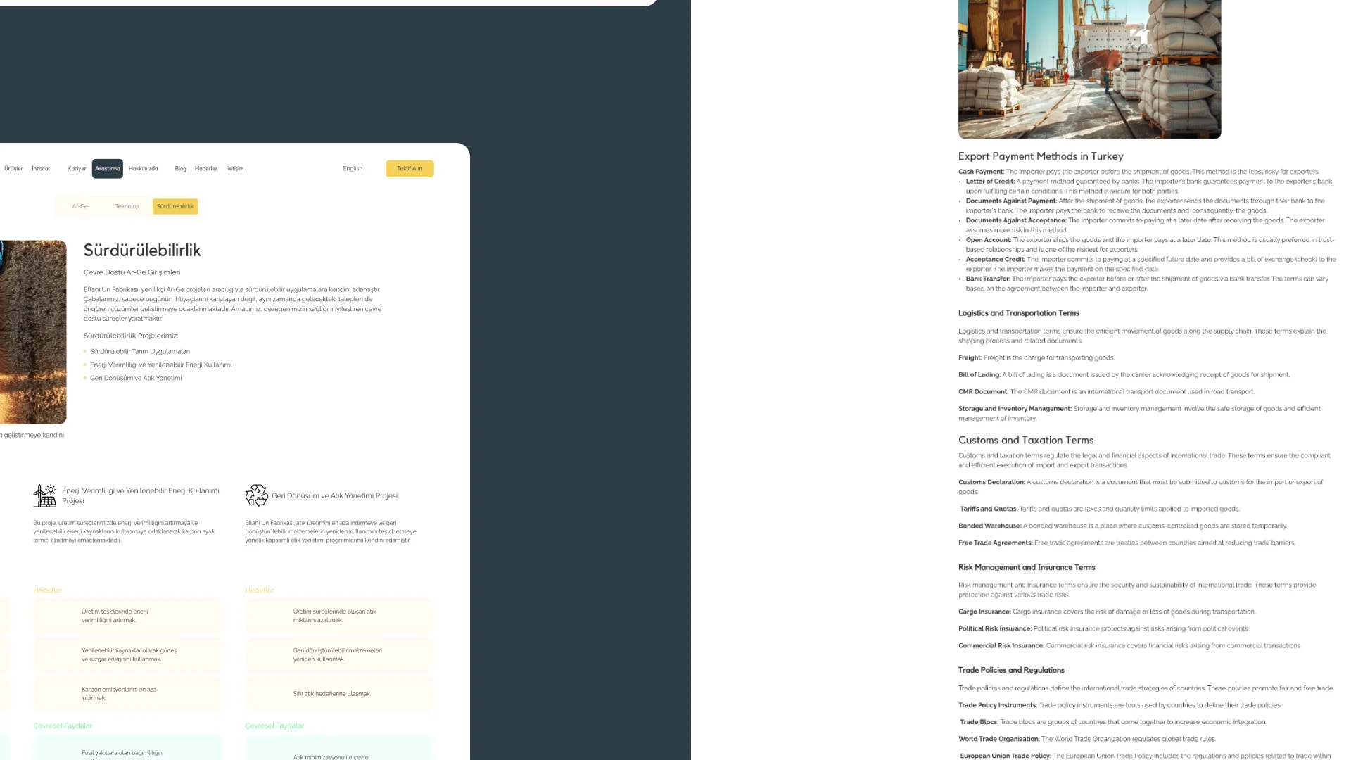 Website showcase mixed 4