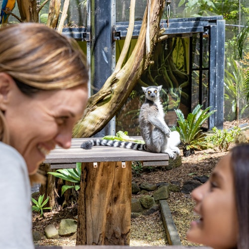 الوادي المفقود