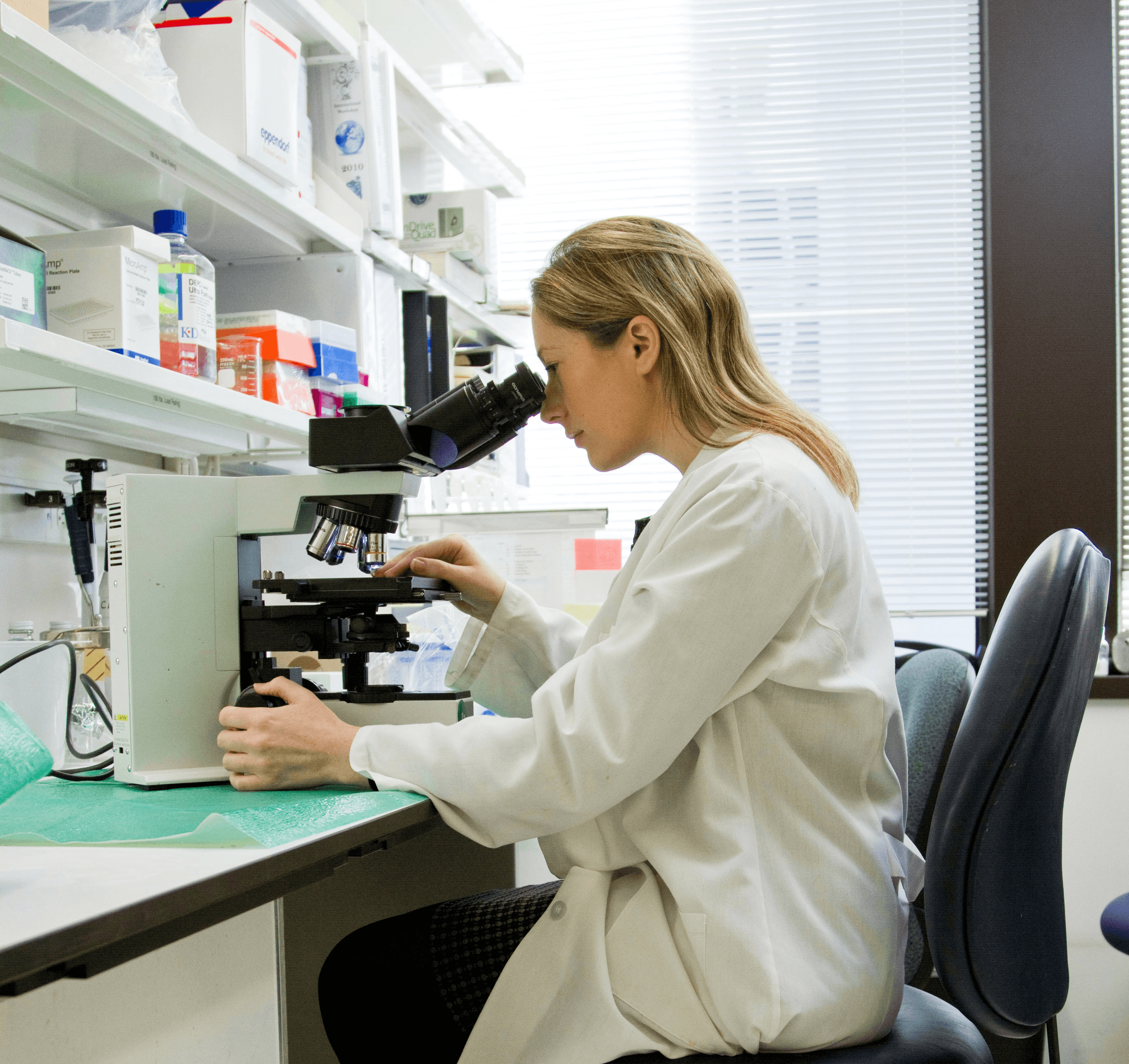 A veterinary technician checking on a pet patient's blood sample for abnormalities