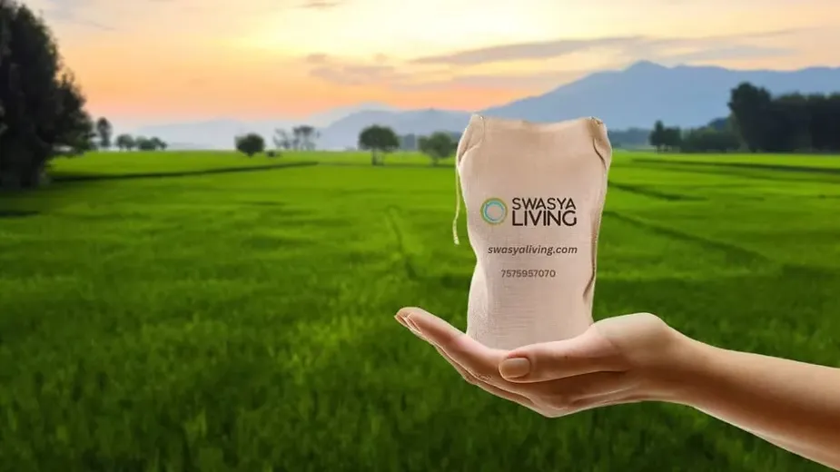 How to Rent Unused Farmland