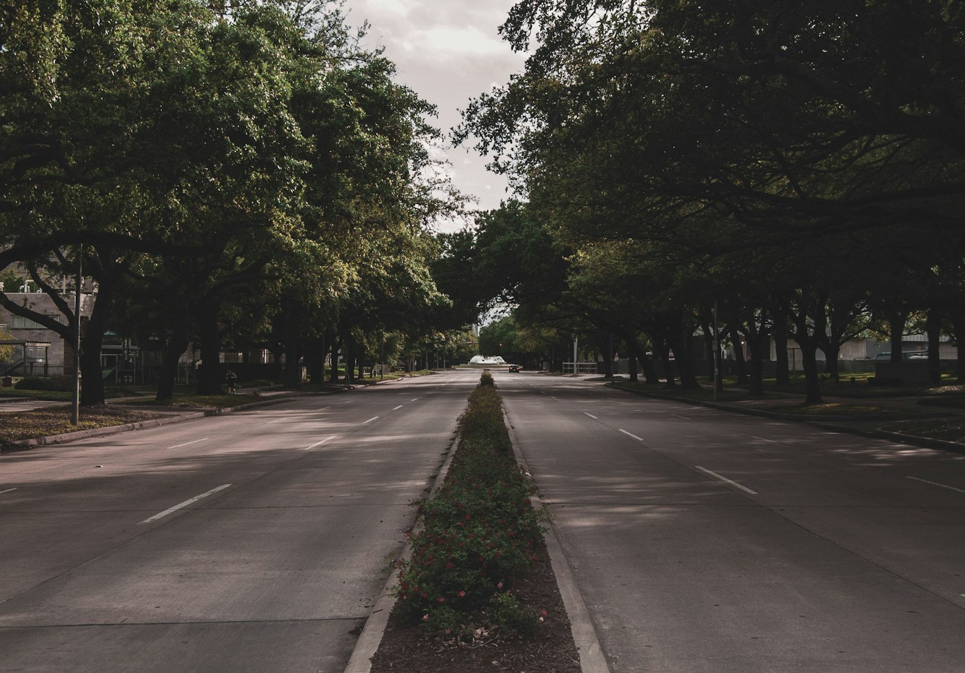 A tree-lined boulevard with a planted median and empty lanes