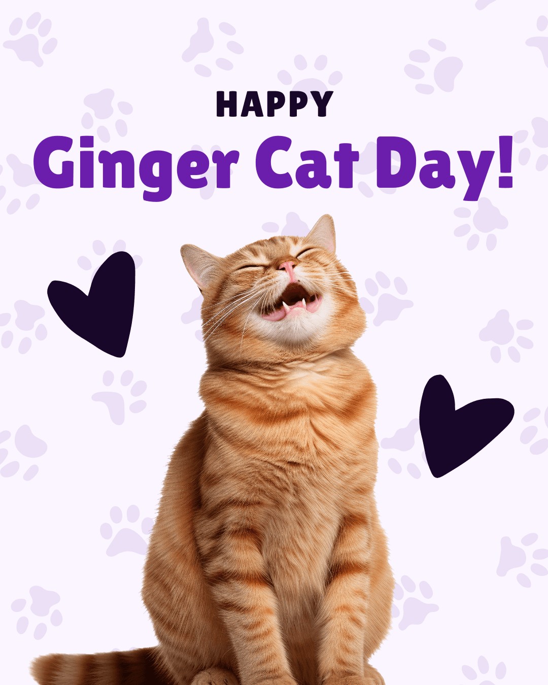 Ginger Cat Appreciation Day