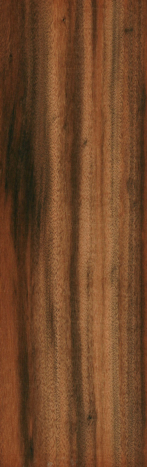 paragayan tigerwood