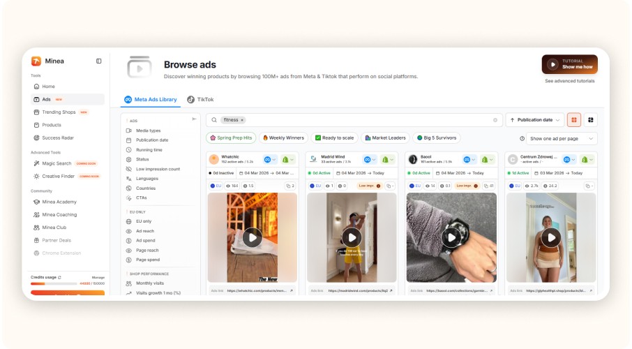 Interface Minea AdSpy avec recherche fitness