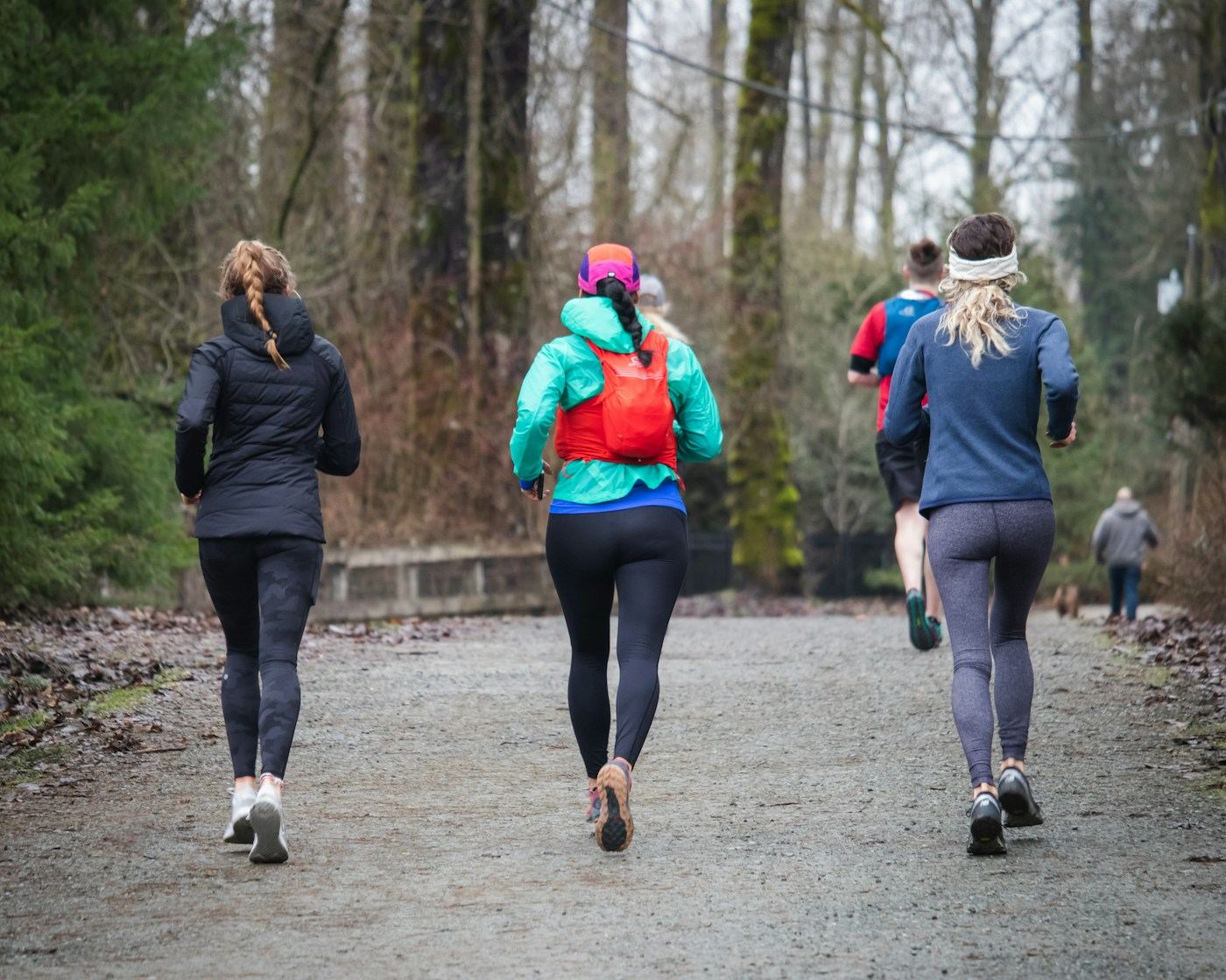 Three runners on a forest trail