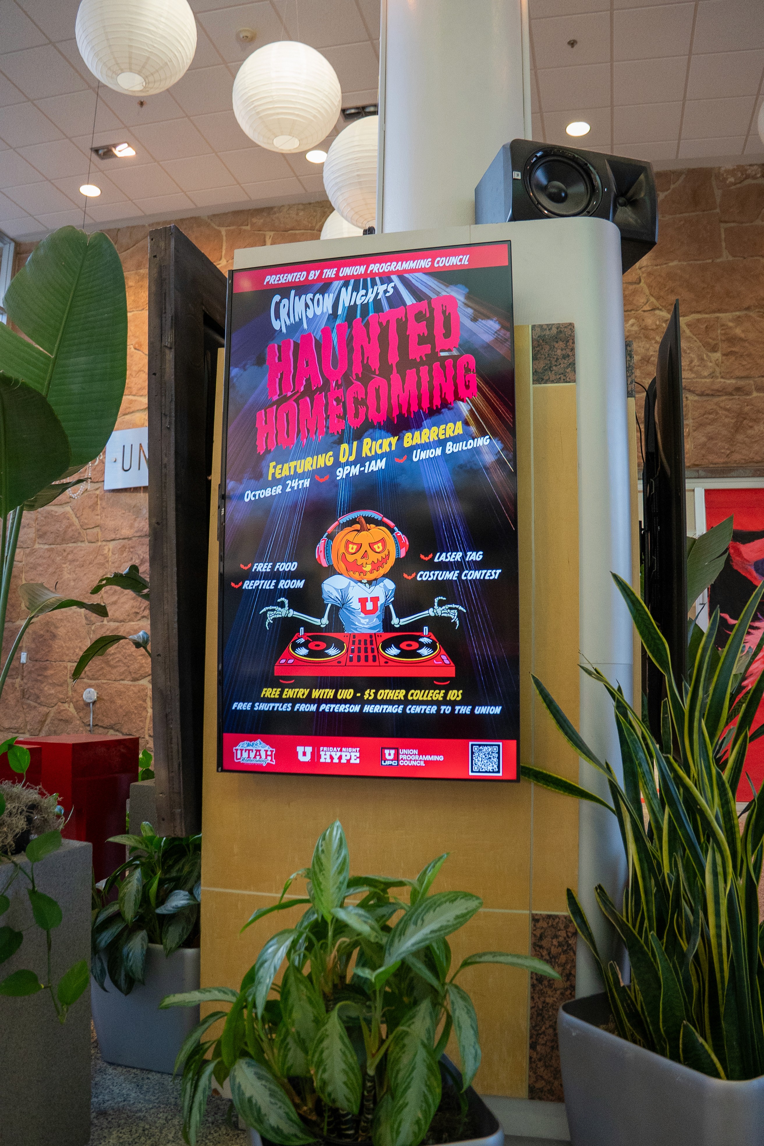 Man working on macbook in blue cafe