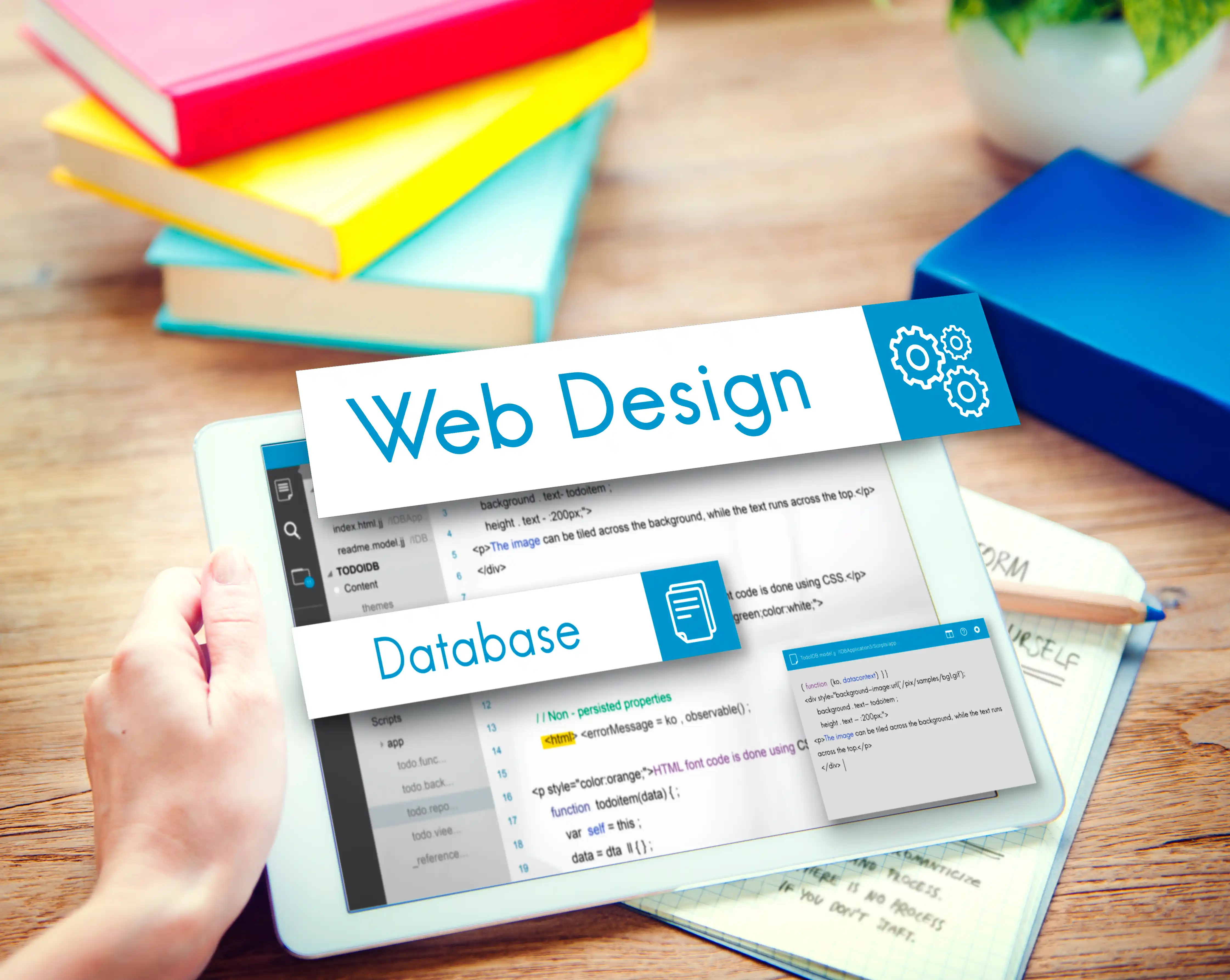 custom wordpress development