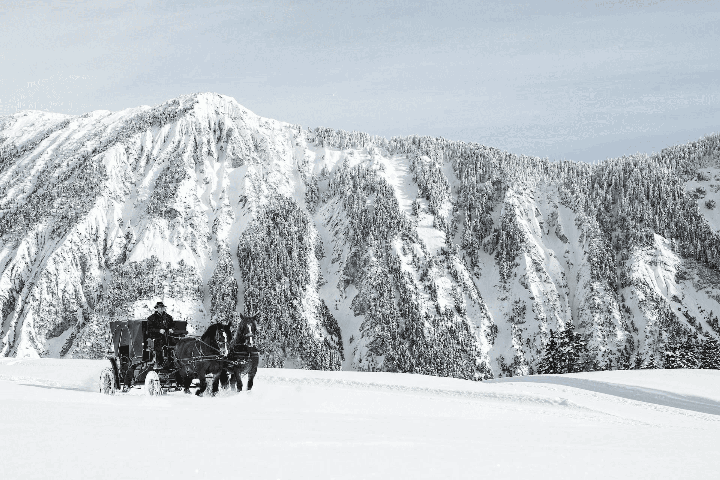 A horse-drawn carriage gliding through snow with the French Alps as a dramatic backdrop.