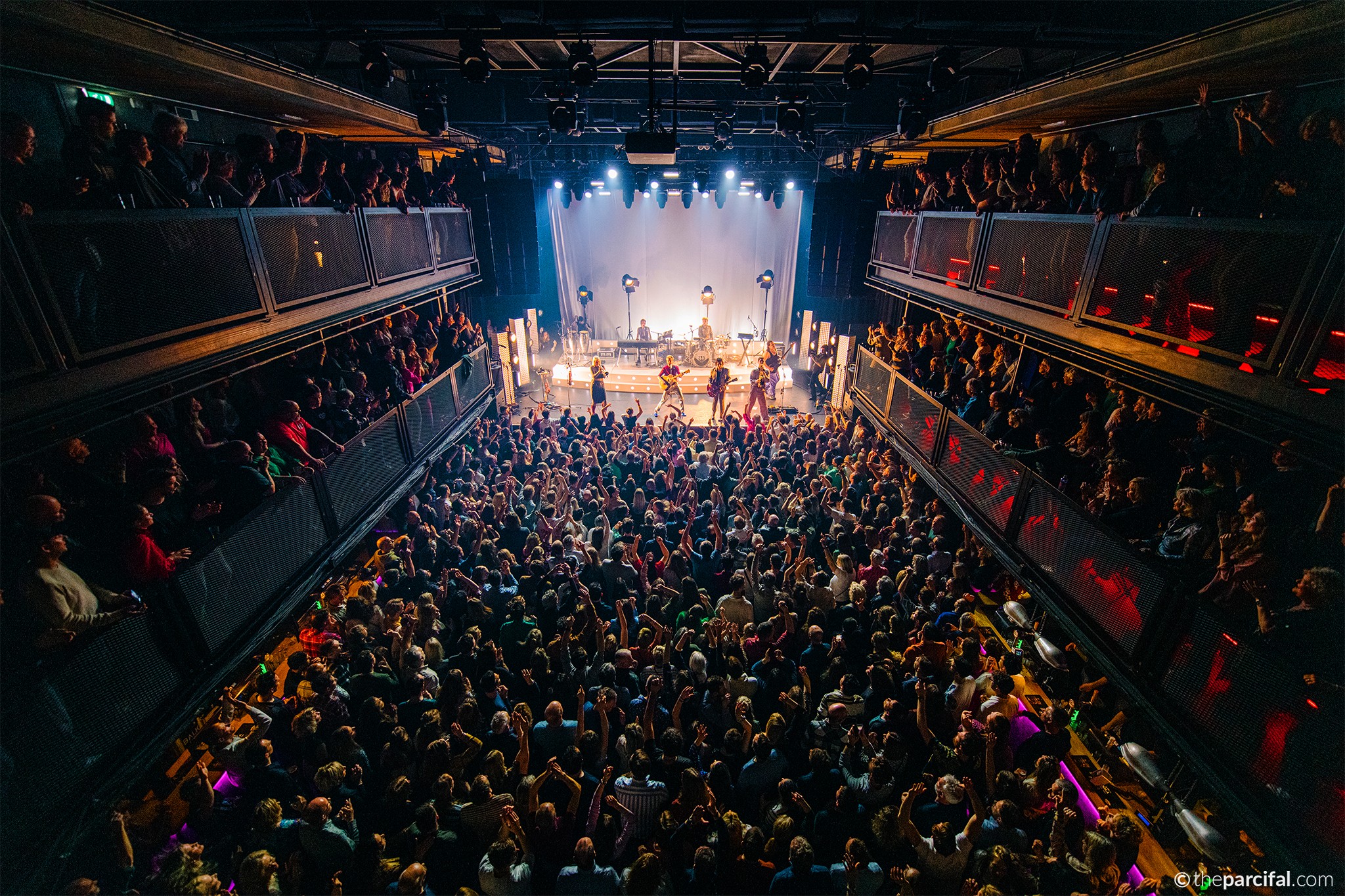 Grote Zaal Den Haag Paard