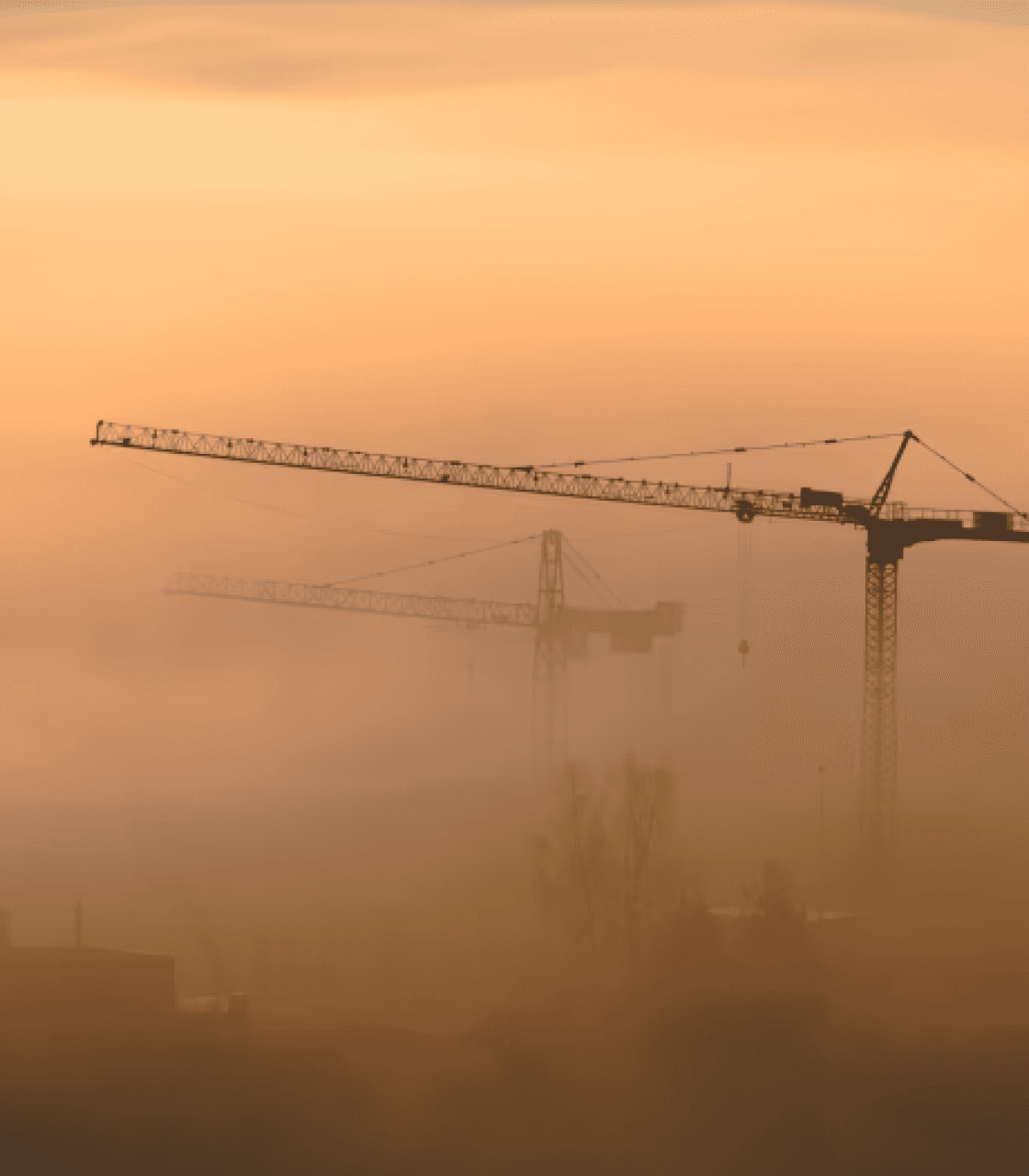 Cranes in