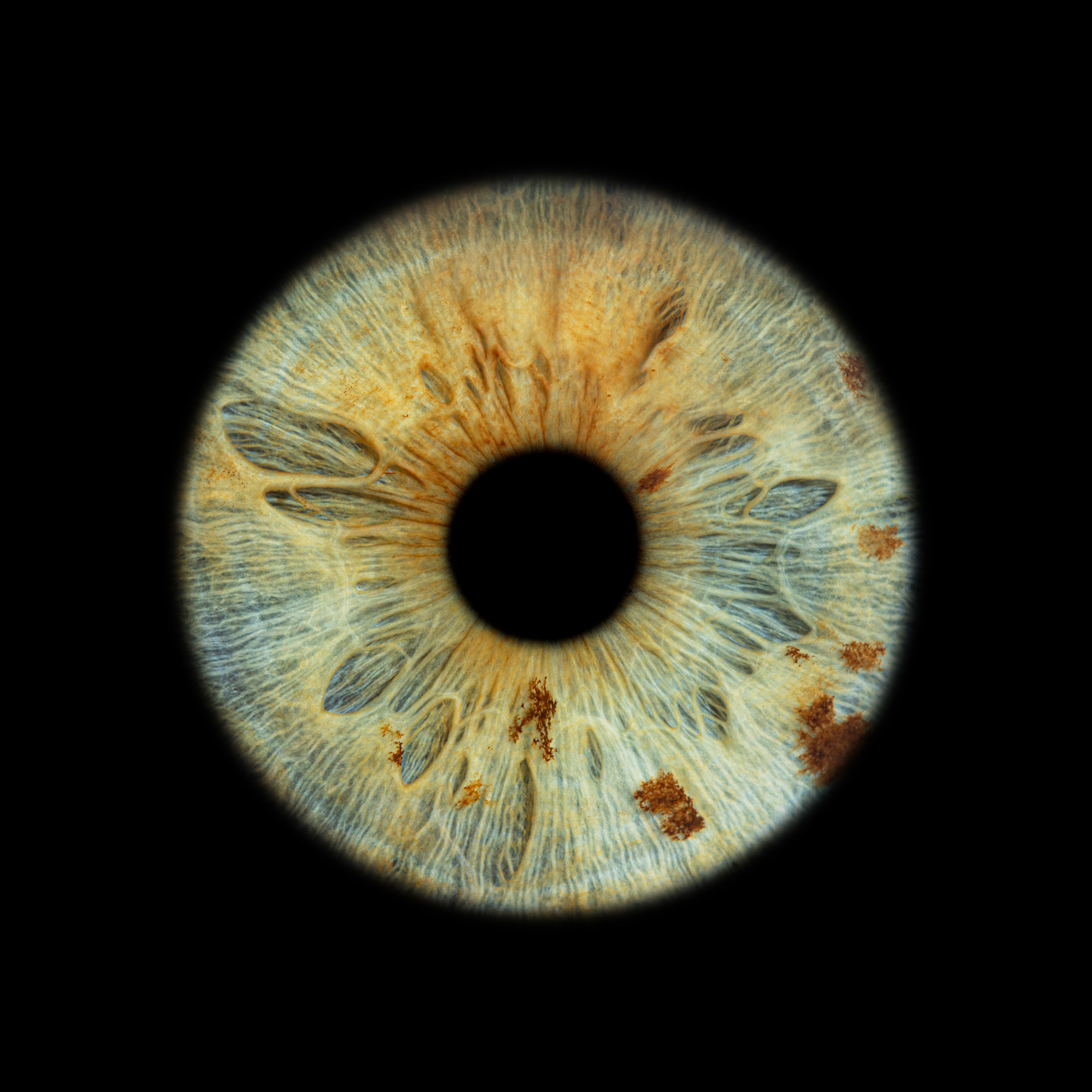 Grey metallic flower shaped object