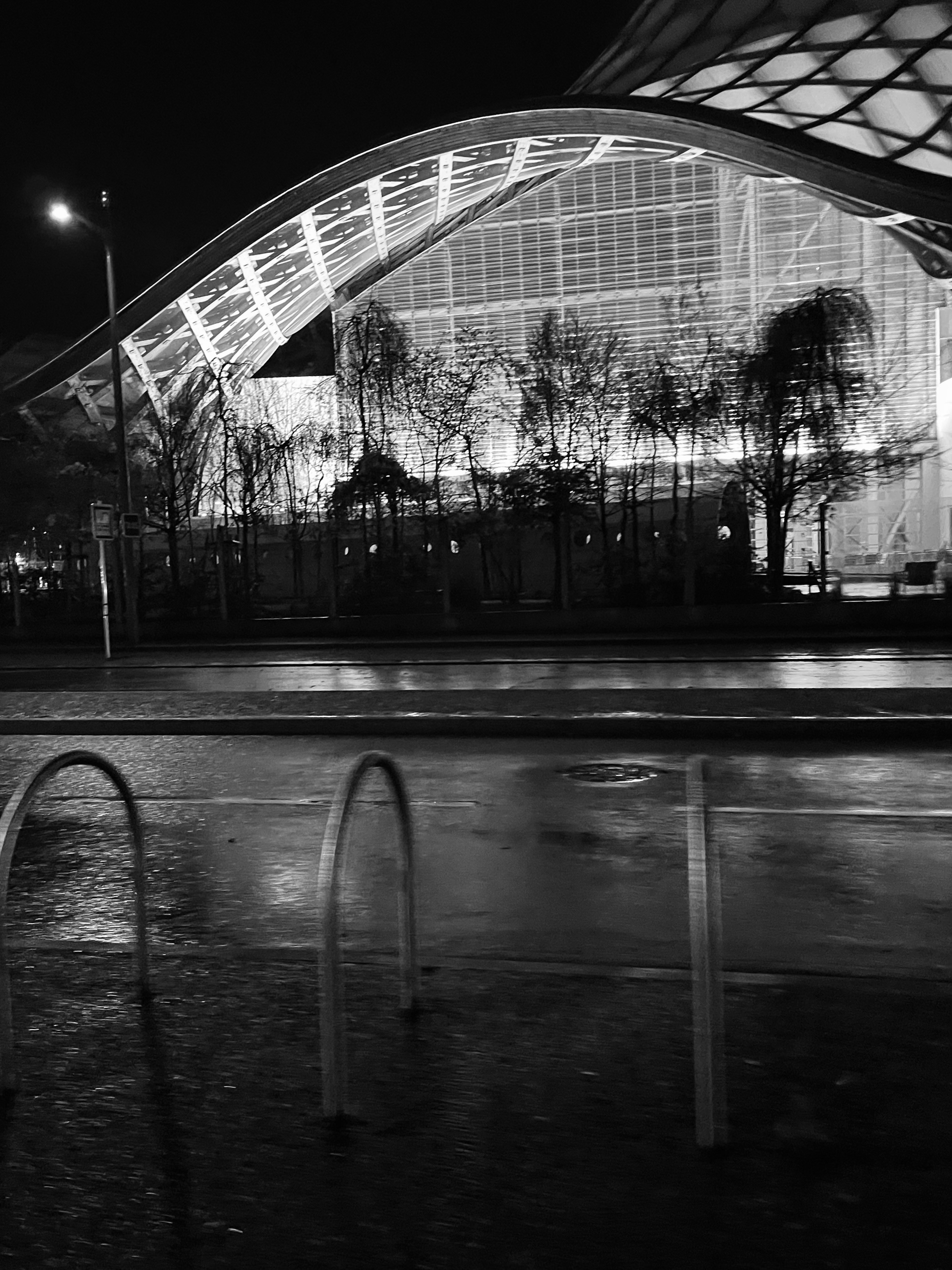 Luc Nijman - The Dilution of Violence and the Funnel of Human Obsolescence