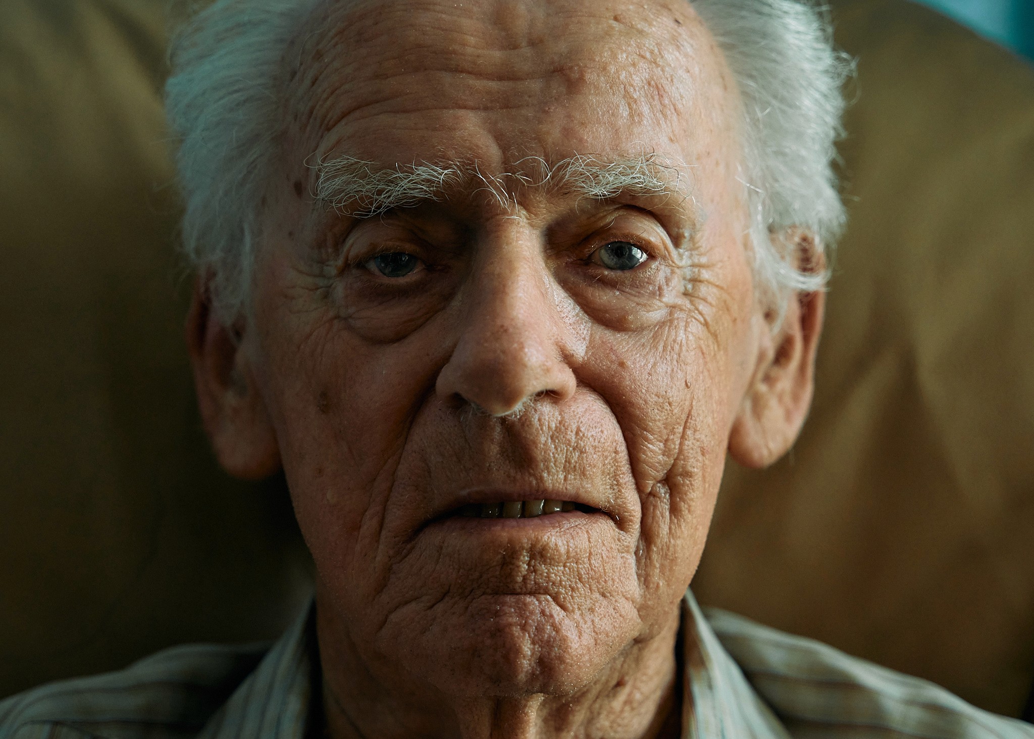 Image Trail by MilkyThemes