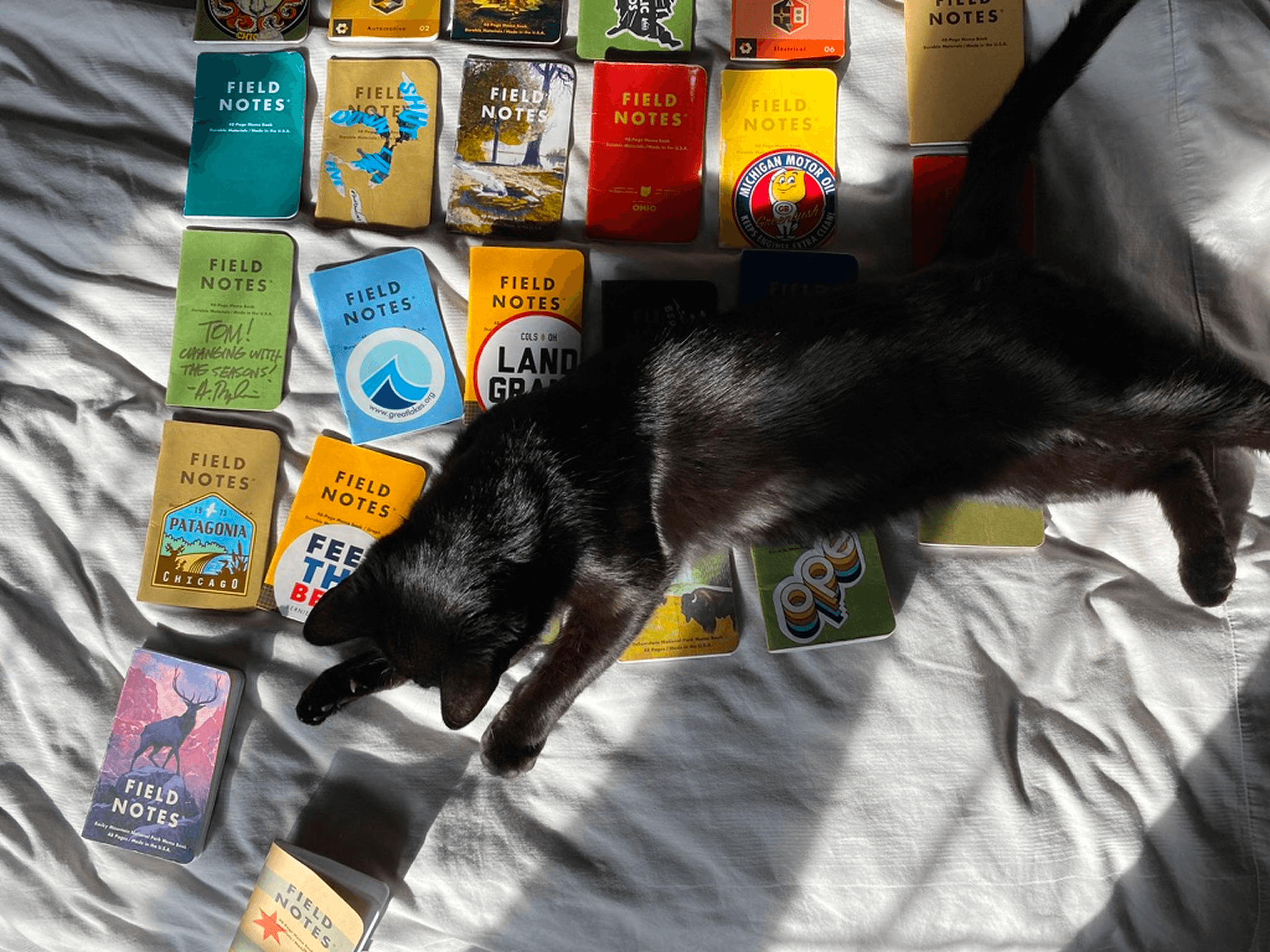 A black cat named Lenny lying on top of a neatly organized grid of Field Notes; he is knocking one off of the table, as cats love to do