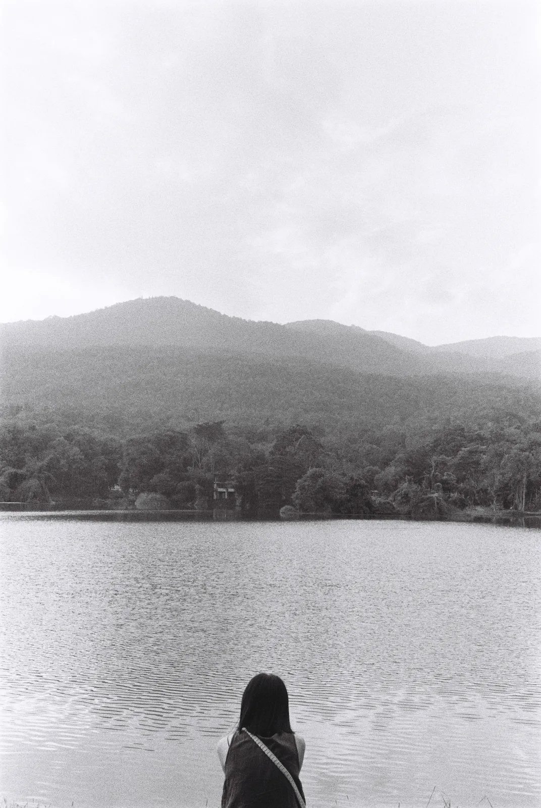 Daydreaming by Alco