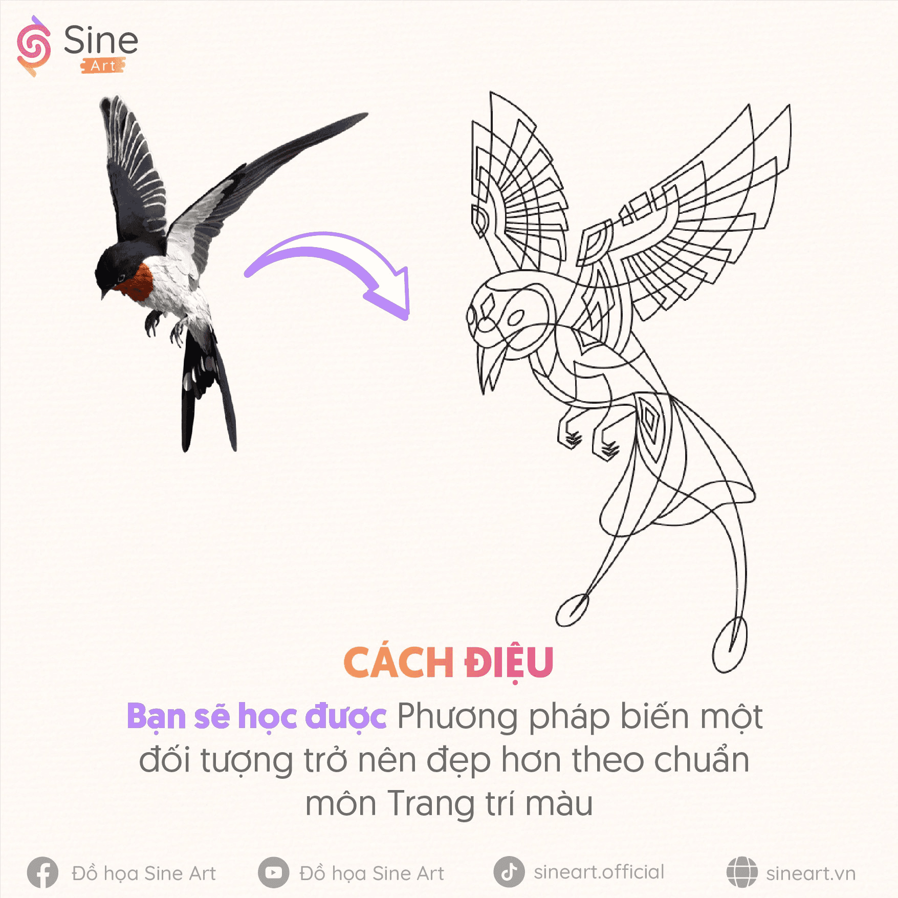 Bạn được học gì trong môn Trang trí màu?
