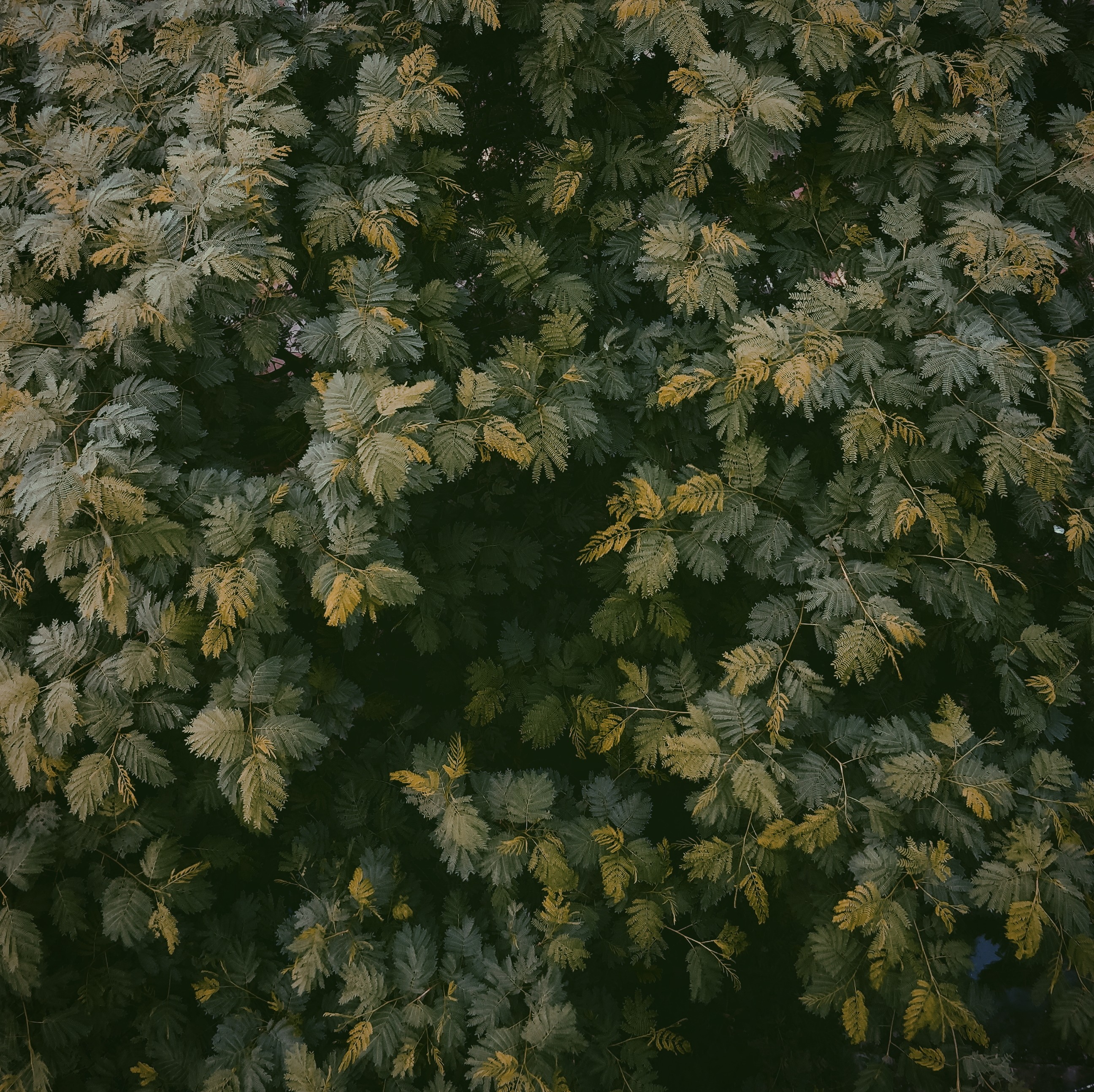 low angle view of a building