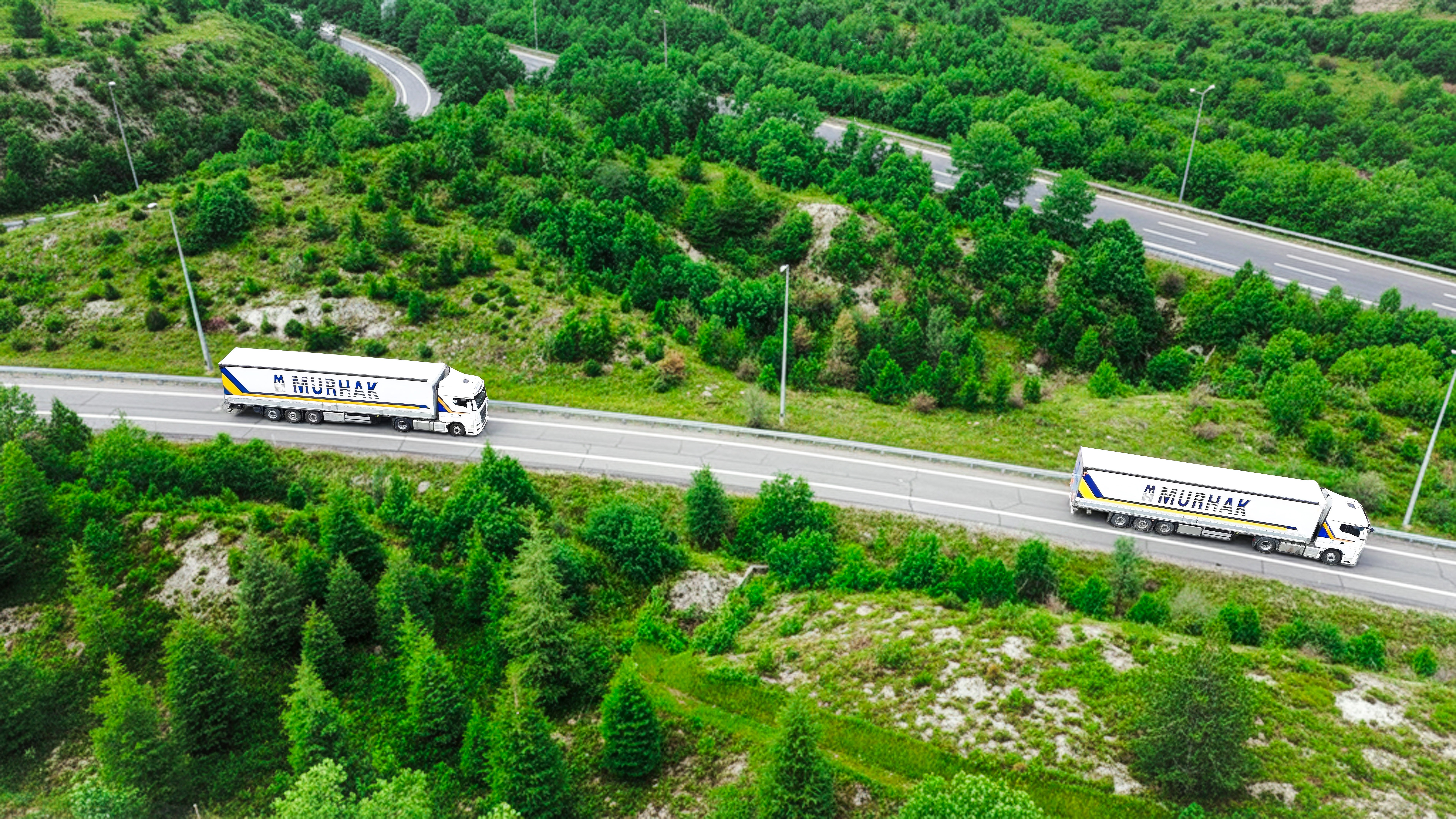 Mobile alert notification