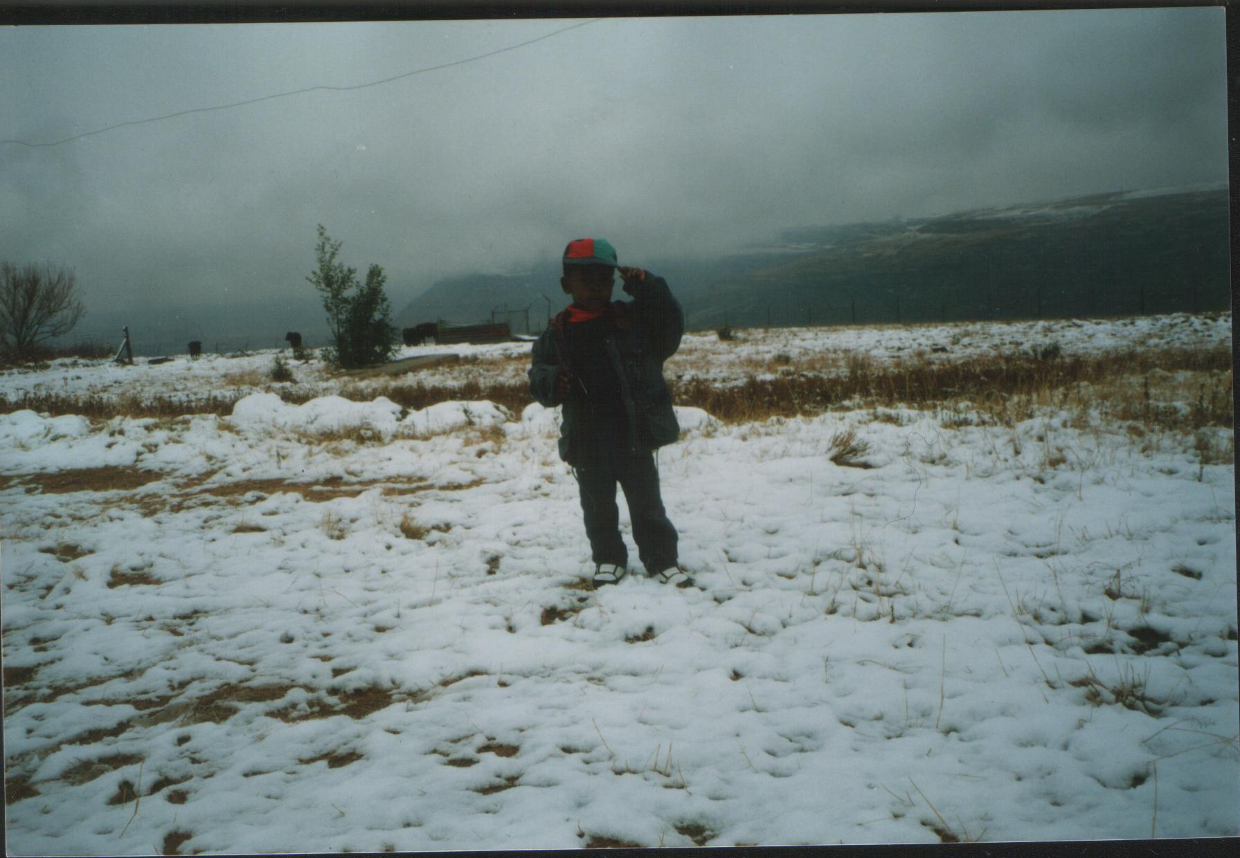 Starting the business