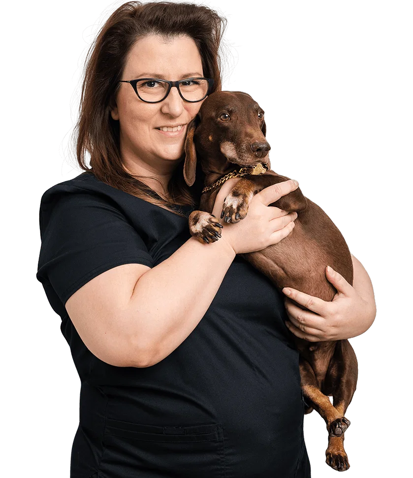 Dr. Lidija Krvavac: Veterinary Surgeon & Medical Director (DIP & JLT Branch)