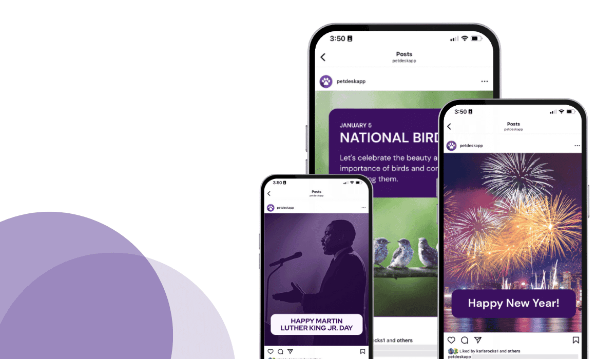 8 creative veterinary marketing ideas for January!